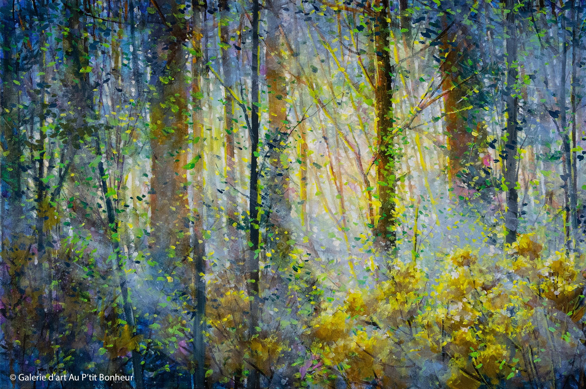 Bev Rodin | Forest Light Series: Blue Morning Mist