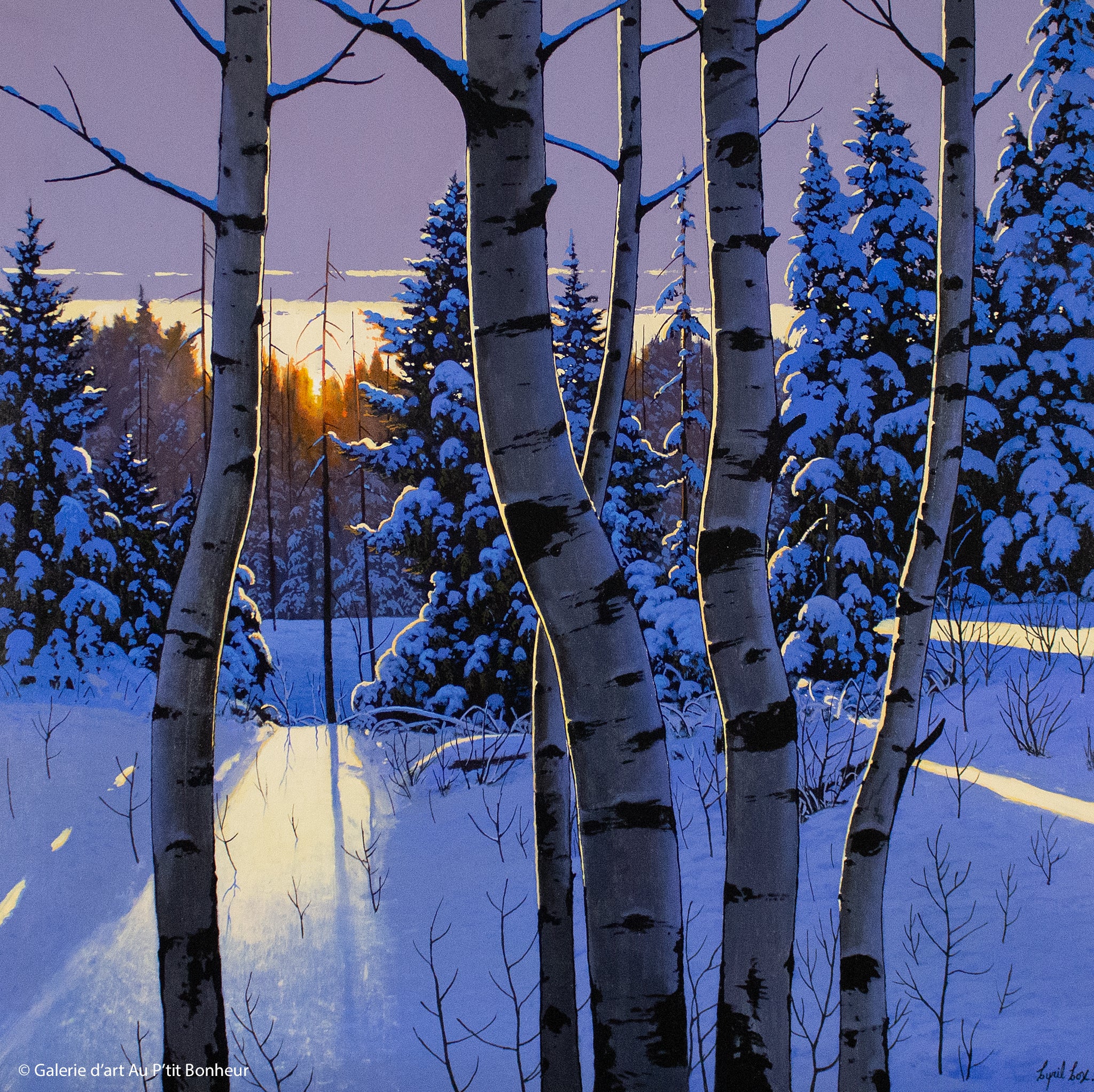 Cyril Cox | Sundown Winter Aspens