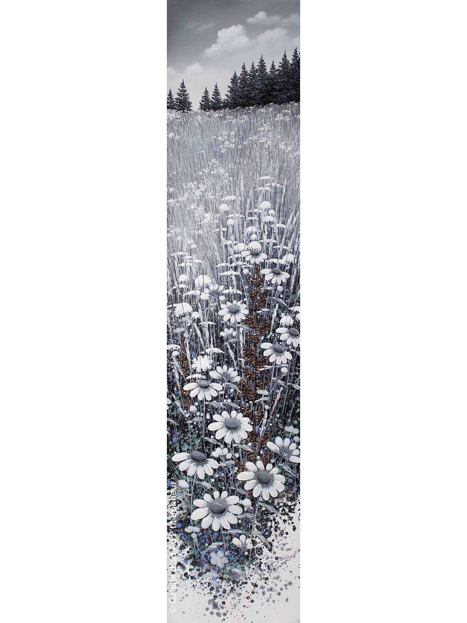 Jordan Hicks | Tall Daisies