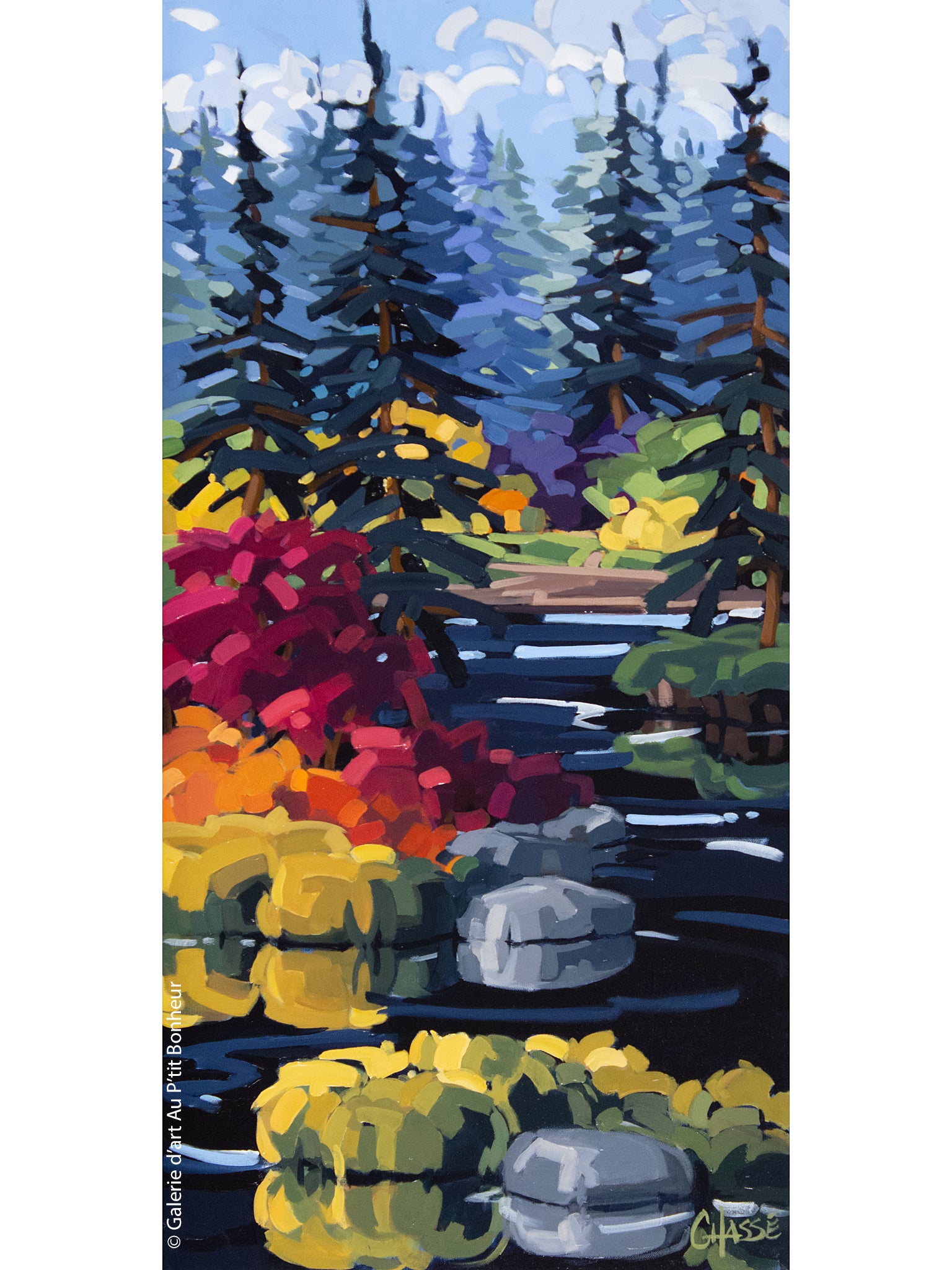 Martine Chassé | Reflets boréals