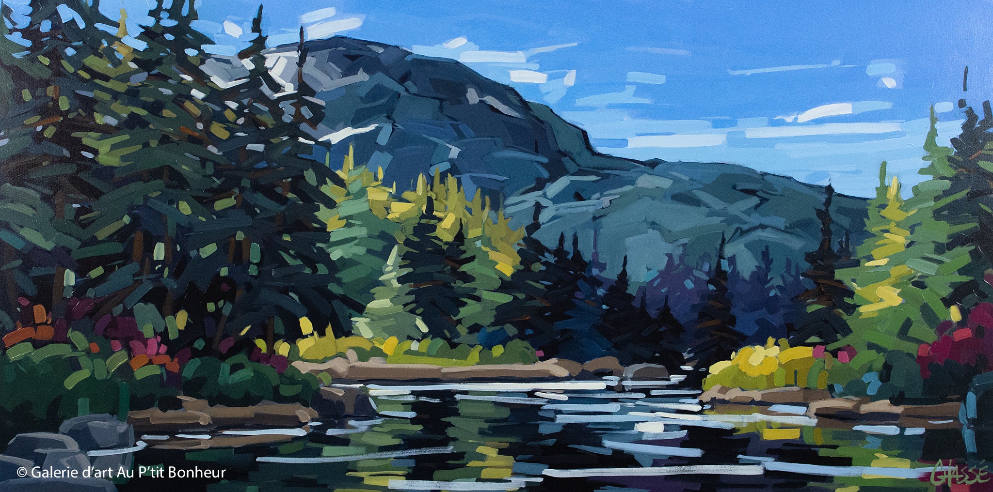 Martine Chassé | Lumière du Nord