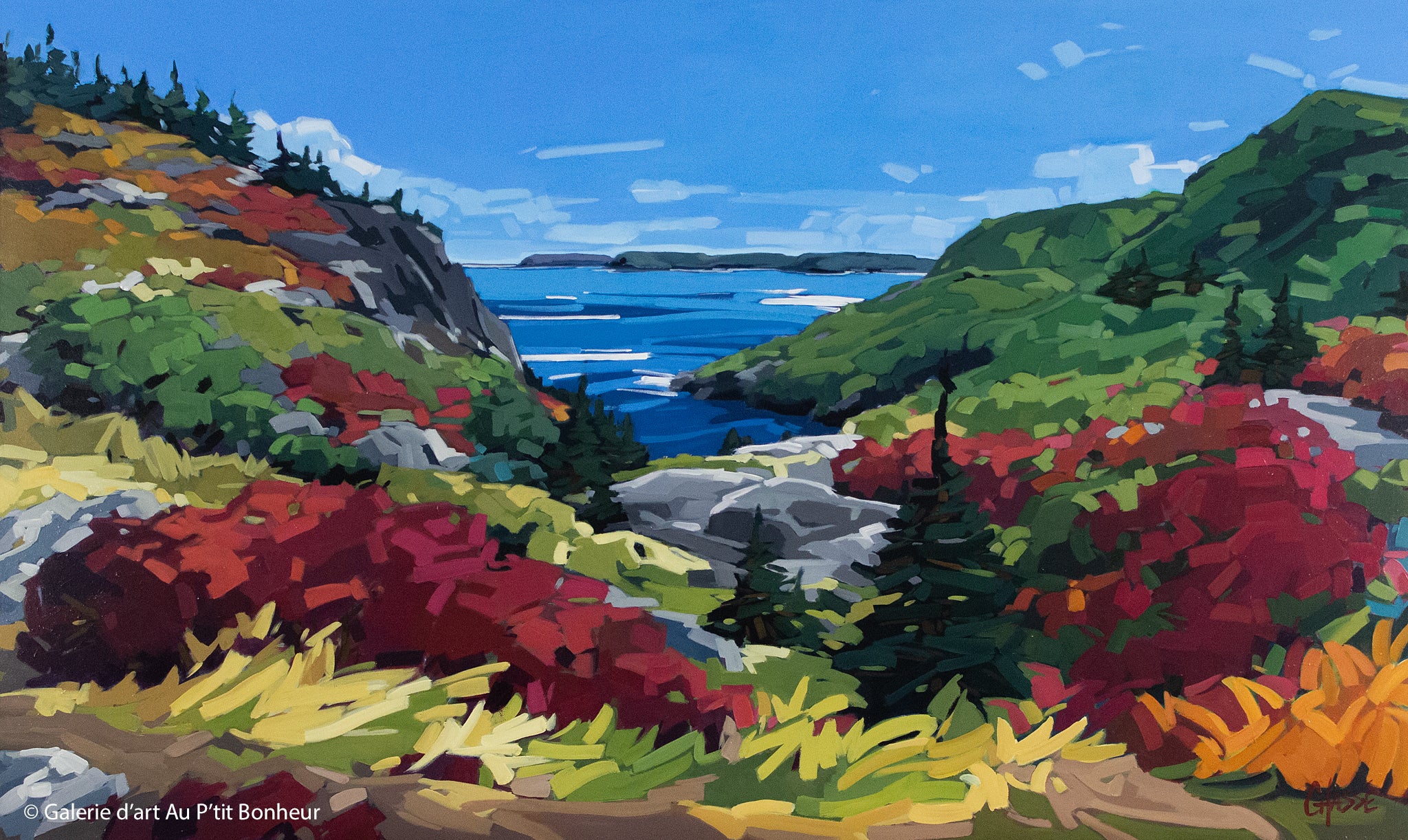 Martine Chassé | Sur le sentier menant à Quidi Vidi