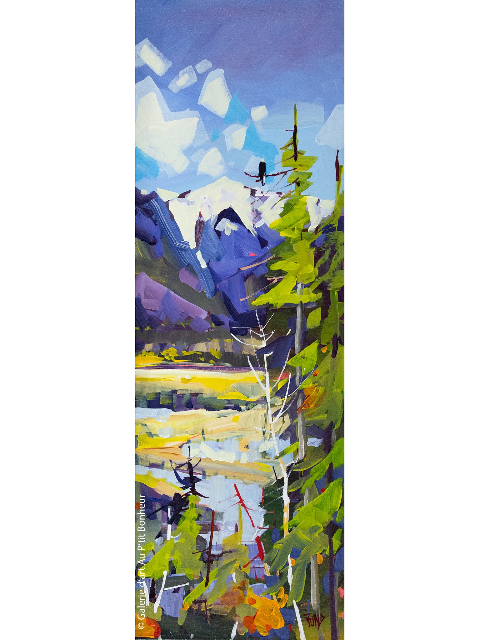 Rick Bond | Columbia Valley Wetlands