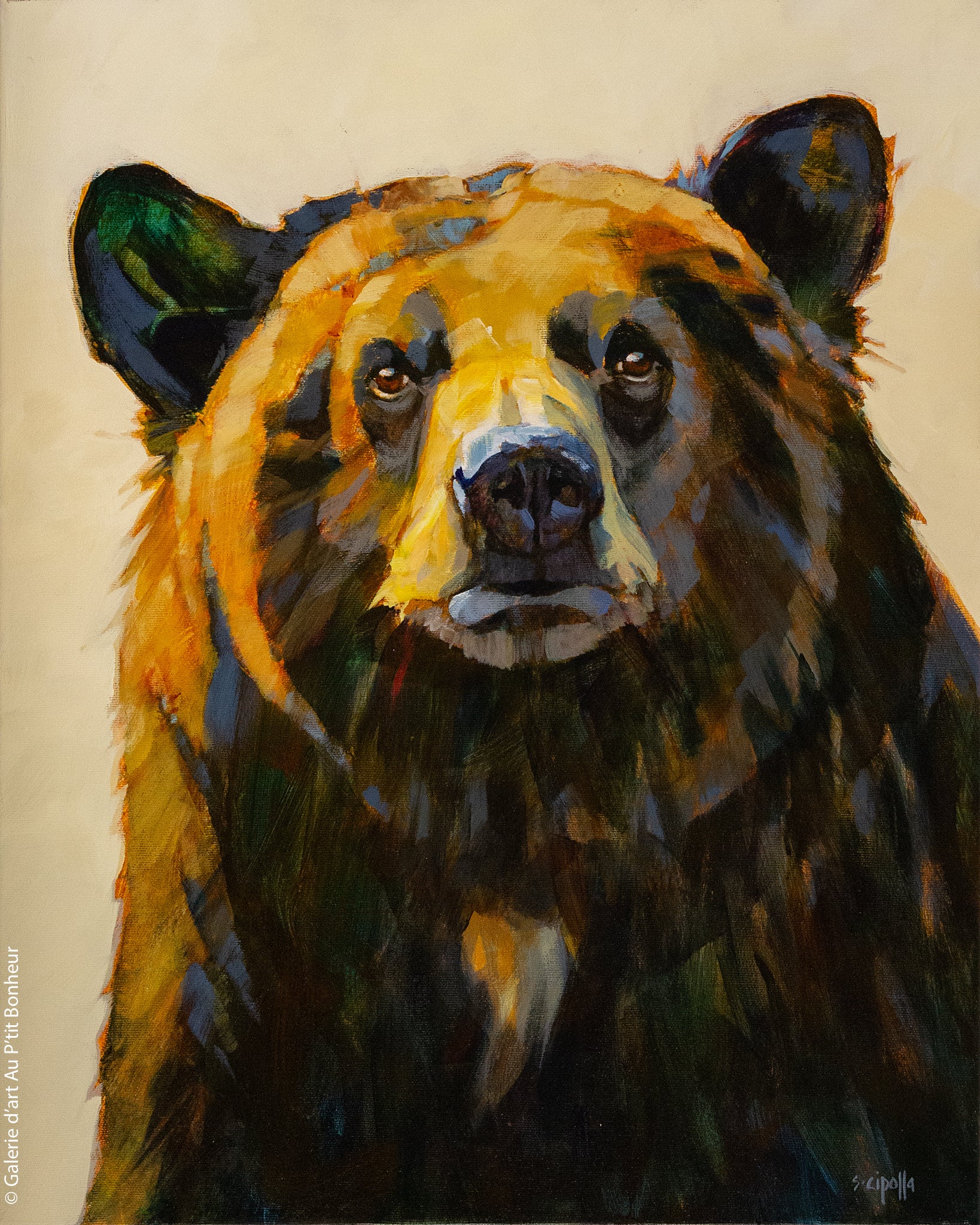 Susie Cipolla | About Face