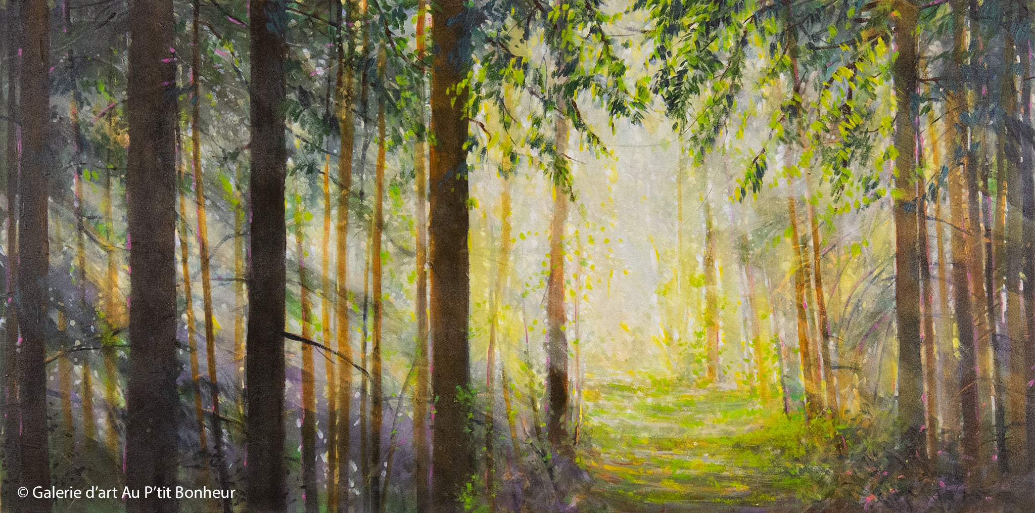 Bev Rodin | Forest Light Series: Morning Stroll