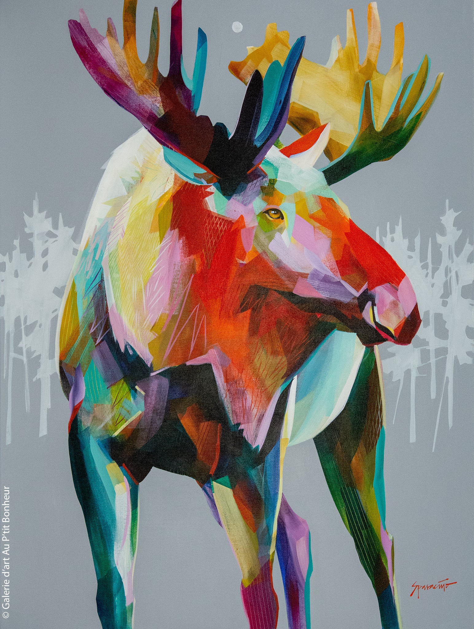 Jennifer Sparacino | Moose Tracks
