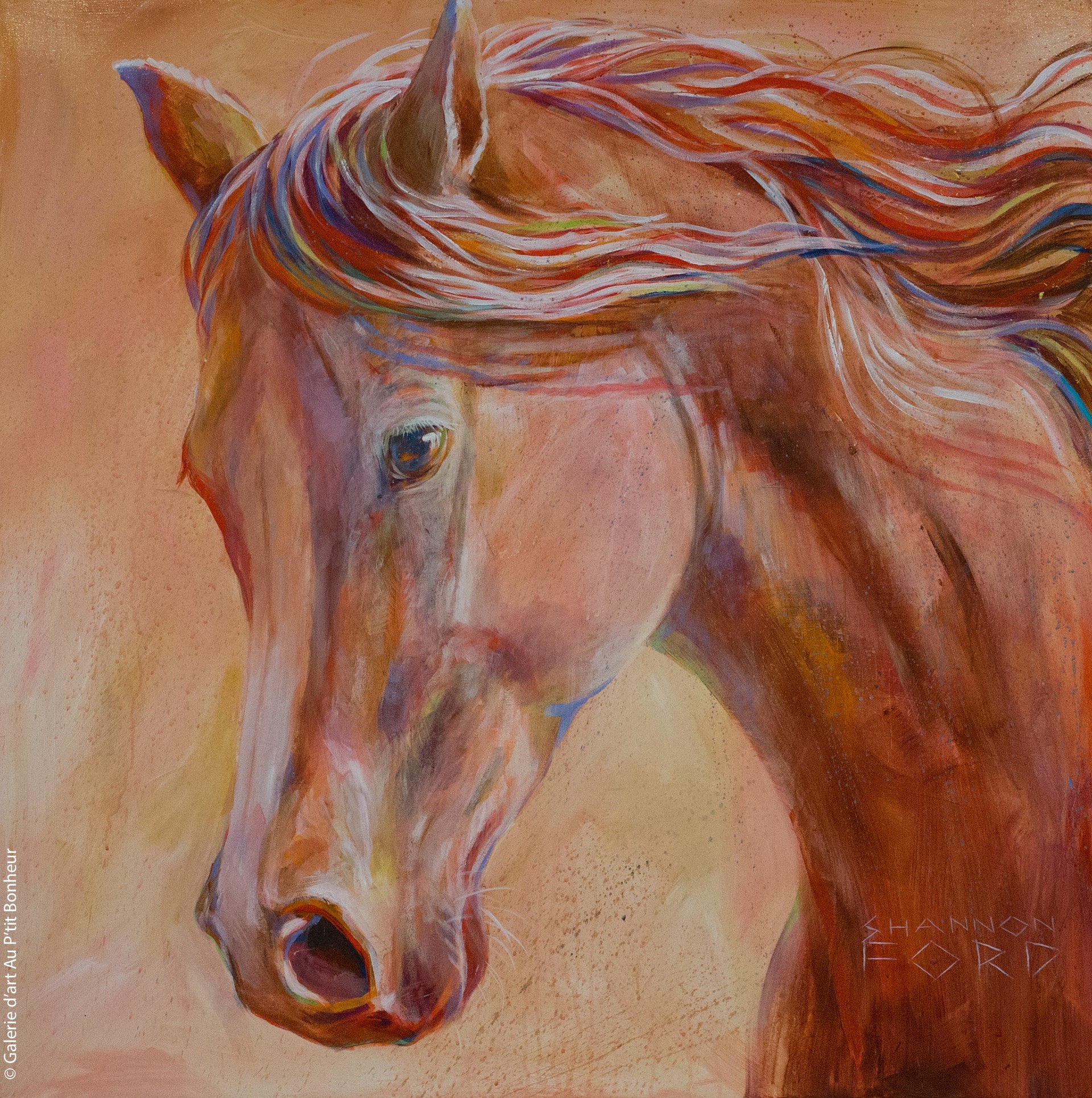 Shannon Ford, tableaux disponibles Galerie d'art Au P'tit Bonheur