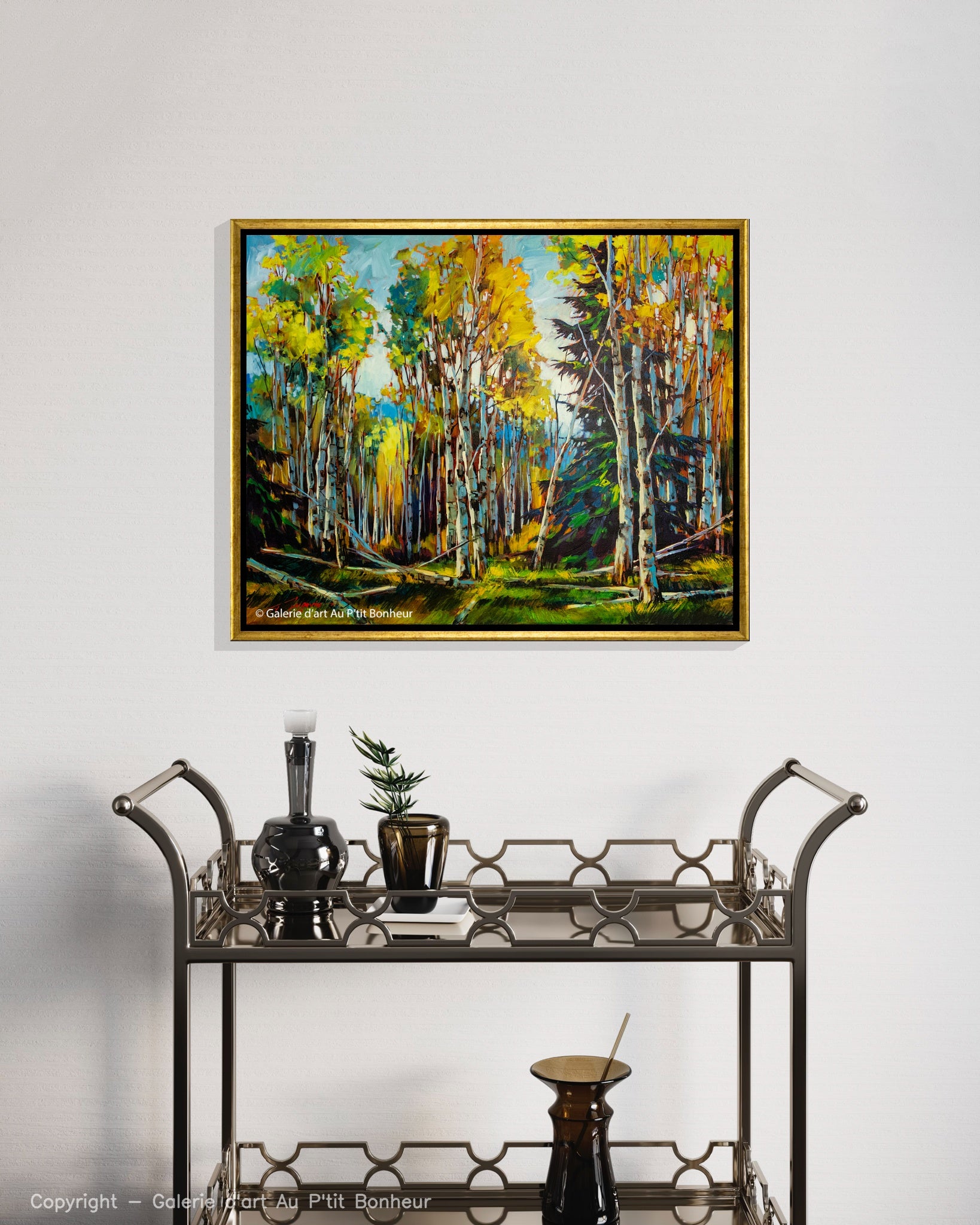 David Langevin | Over the Seasons