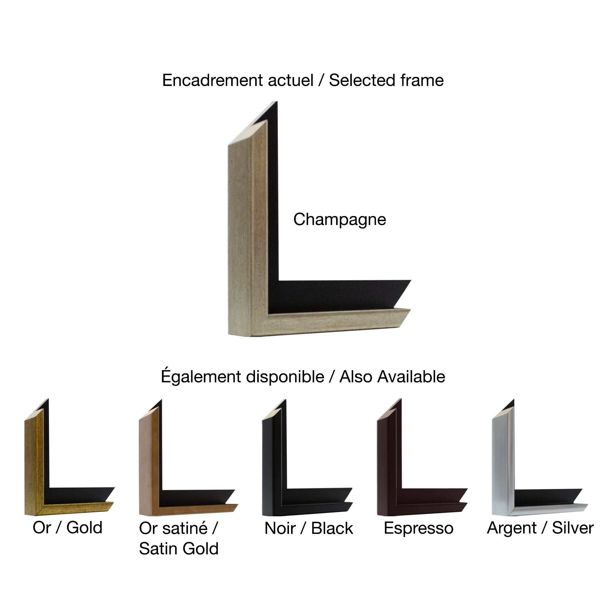 Robert Roy | Placotage hivernal