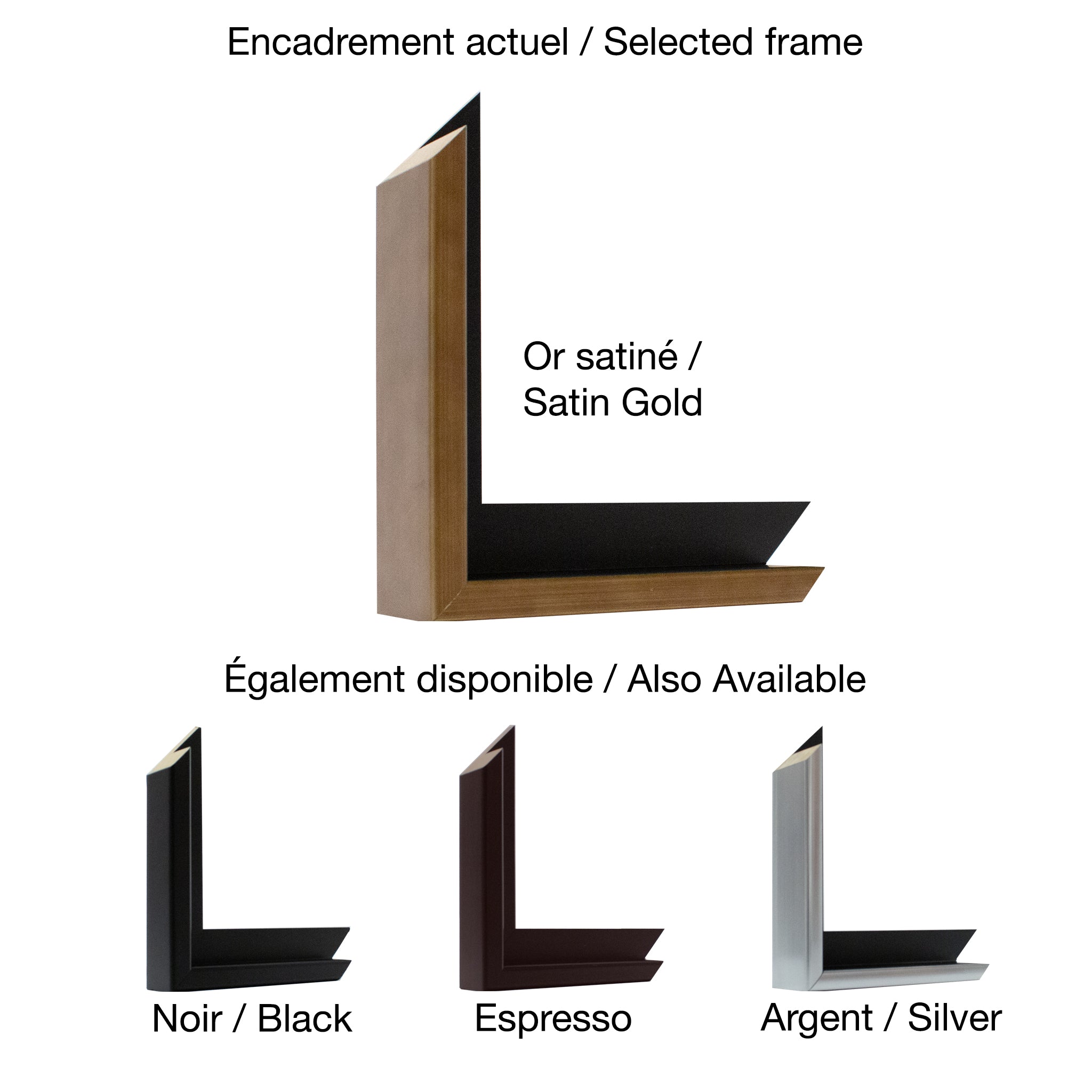 Holly Ann Friesen | A Meeting of Minds 2