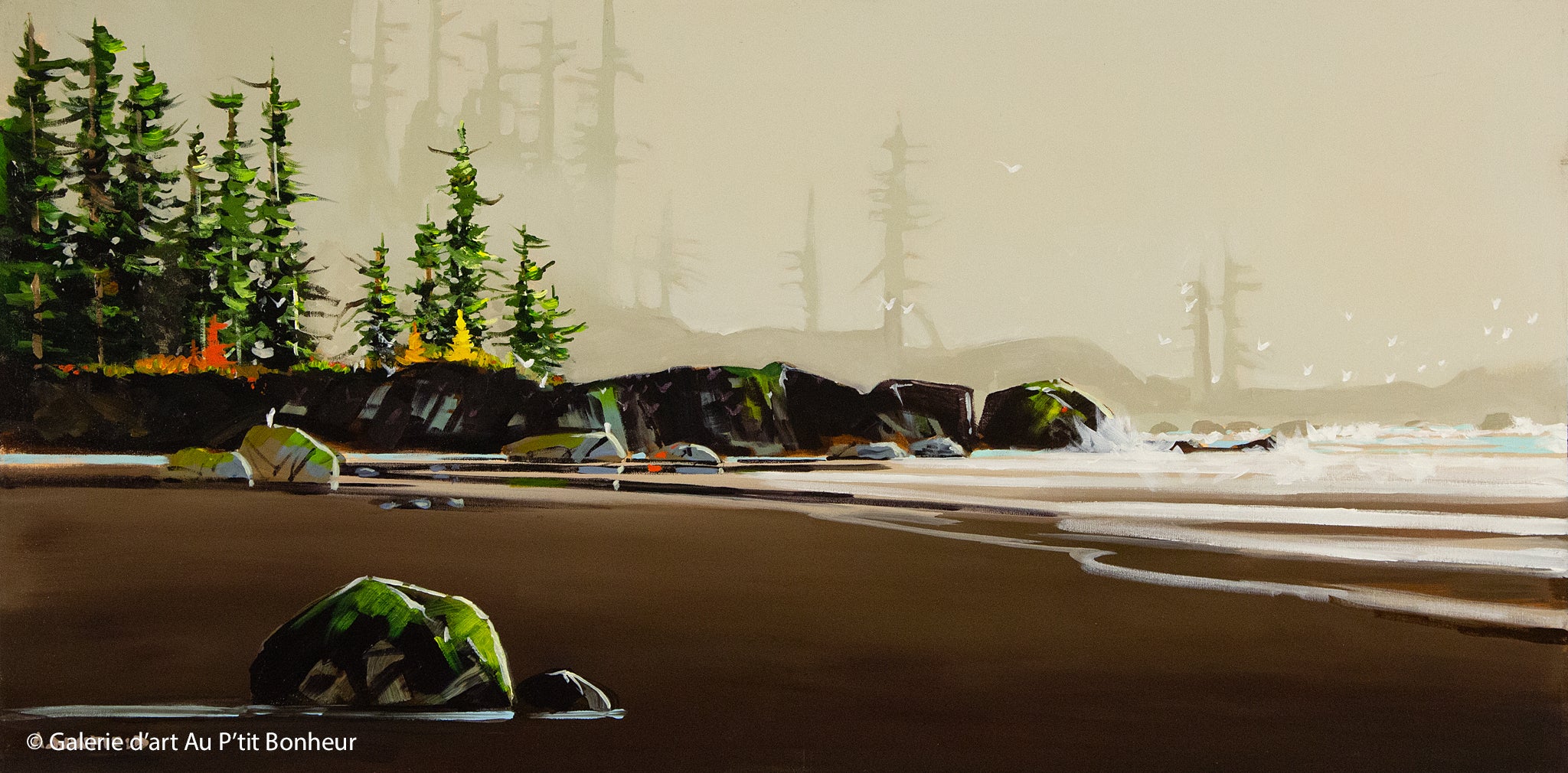 Allan Dunfield | Gulls Playground