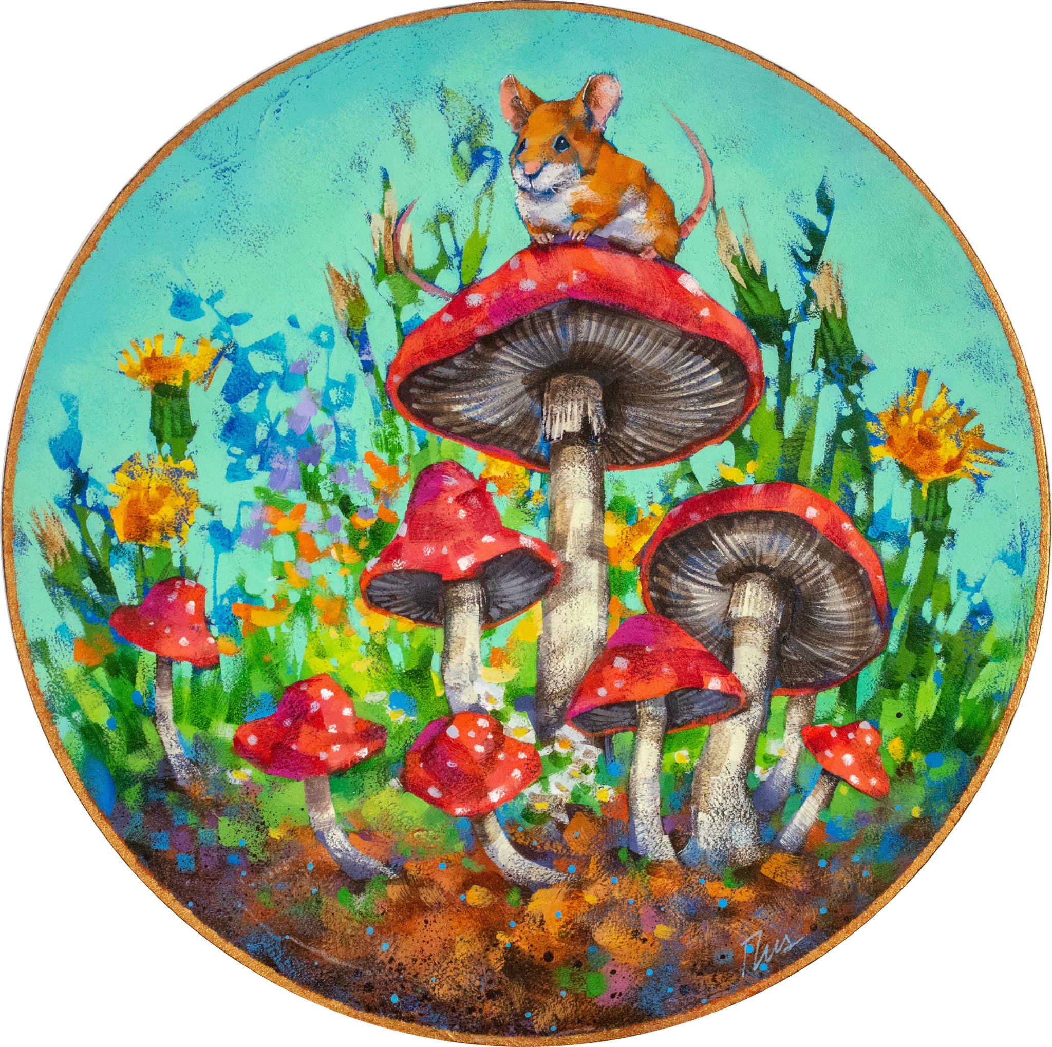 Angie Rees | Shroom With a View