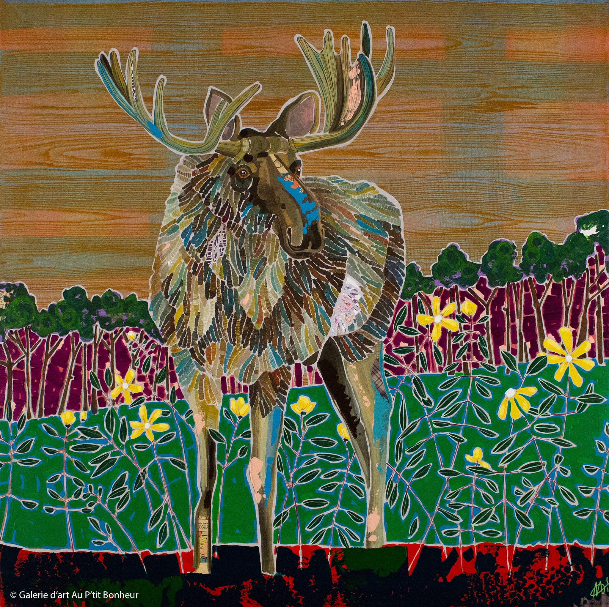Ann Murphy | Mossy Moose