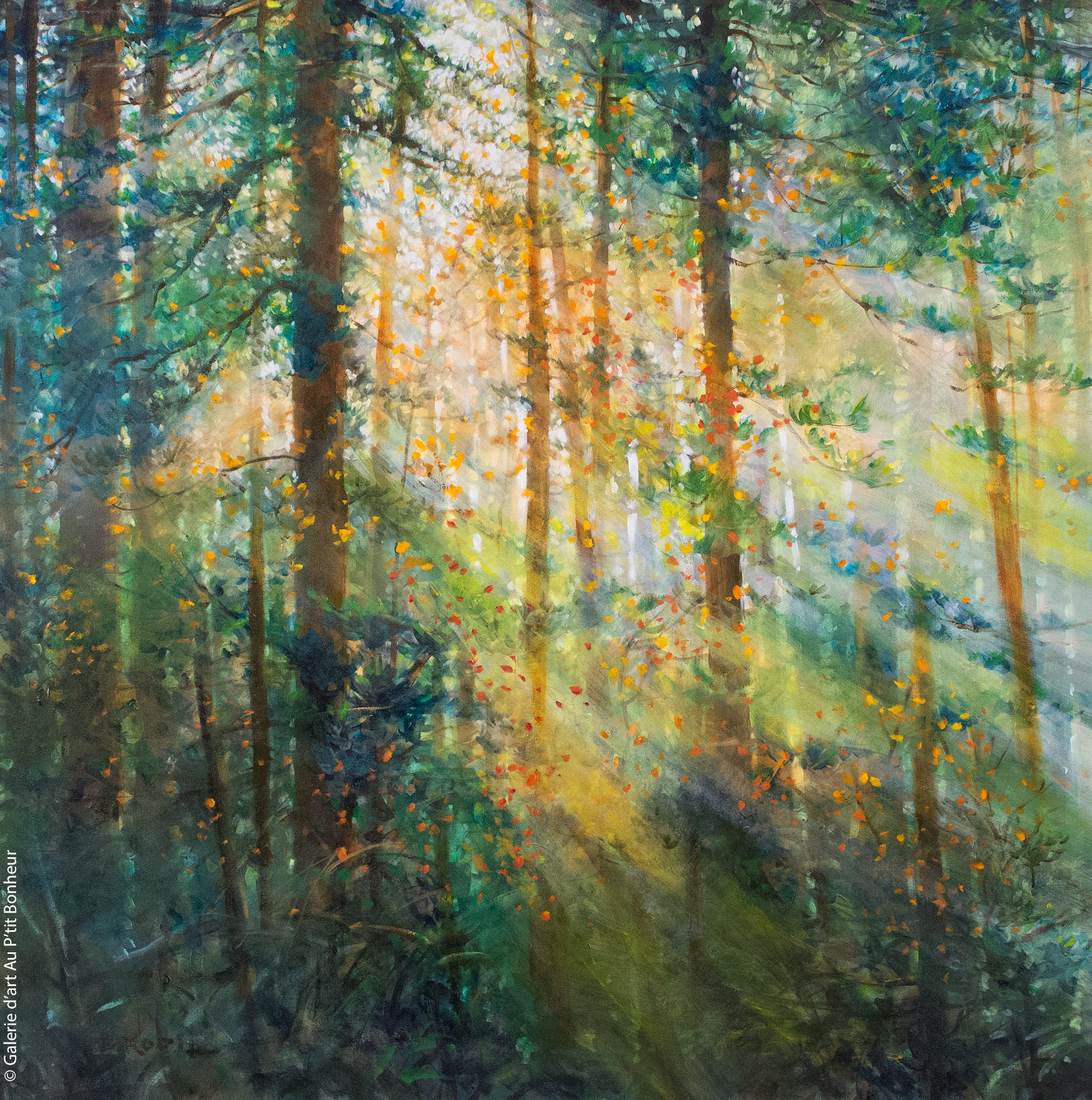 Bev Rodin | Forest Light Series - Timeless (2013)