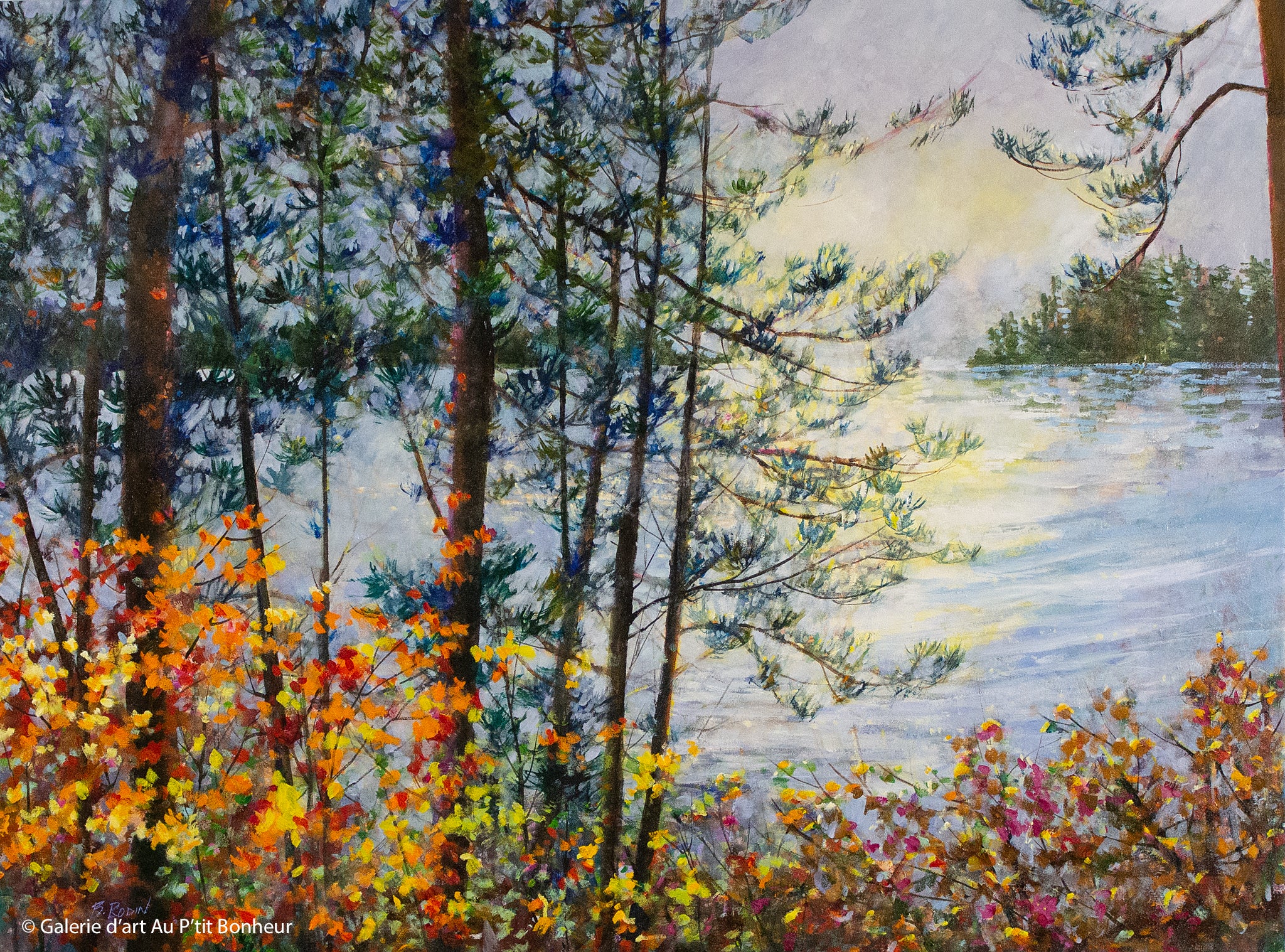 Bev Rodin | Forest Light Series: Changing Weather