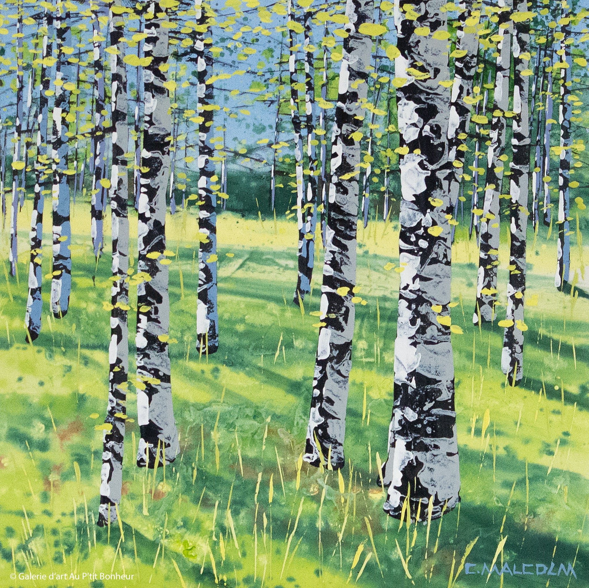 Carole Malcolm | Treescape 04123