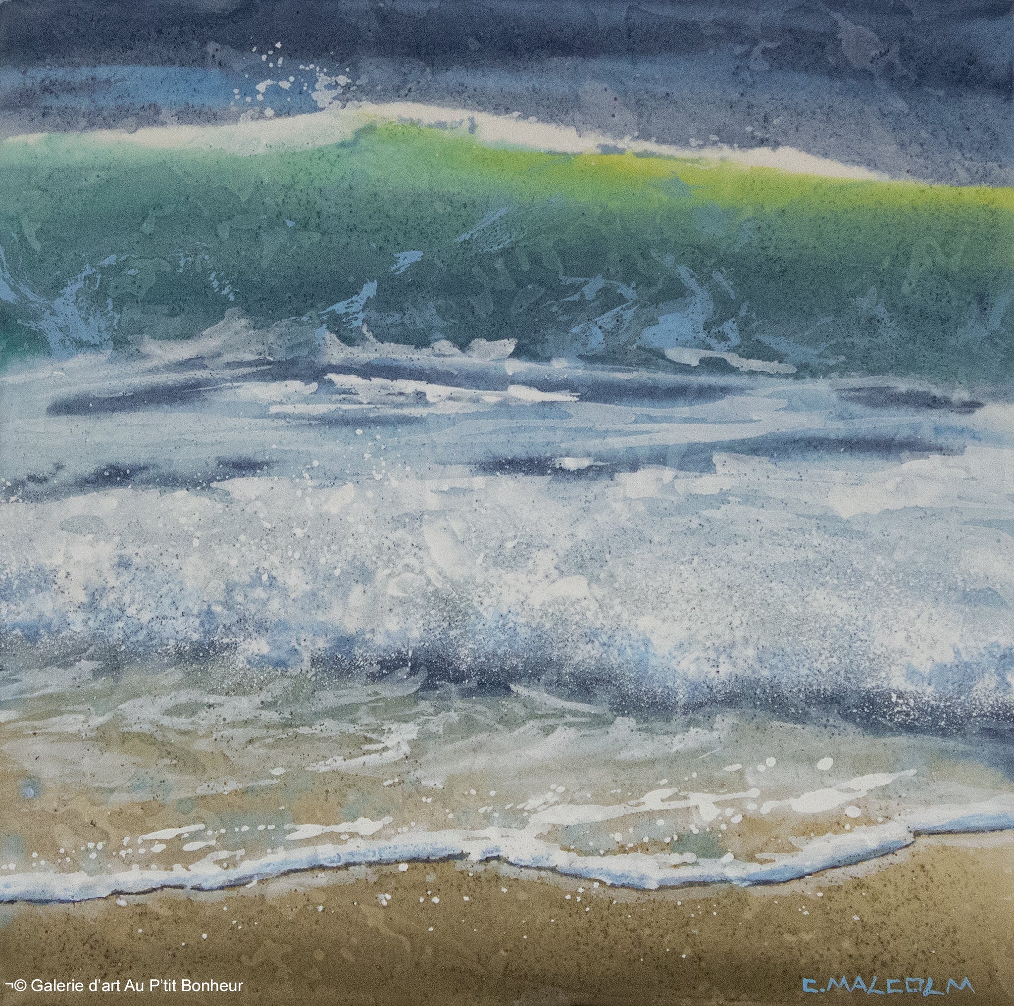 Carole Malcolm | Shoreline Study 03726