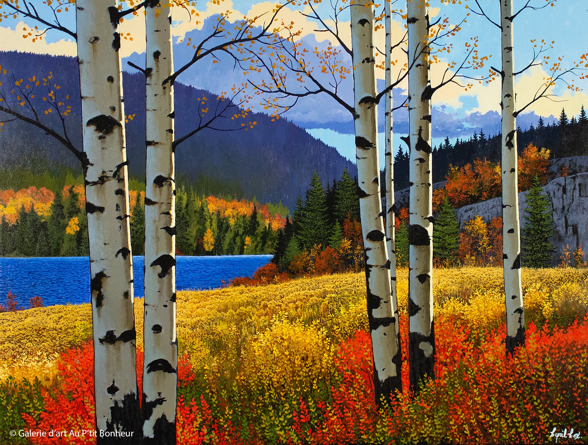 Cyril Cox | Peaceful Valley Aspens