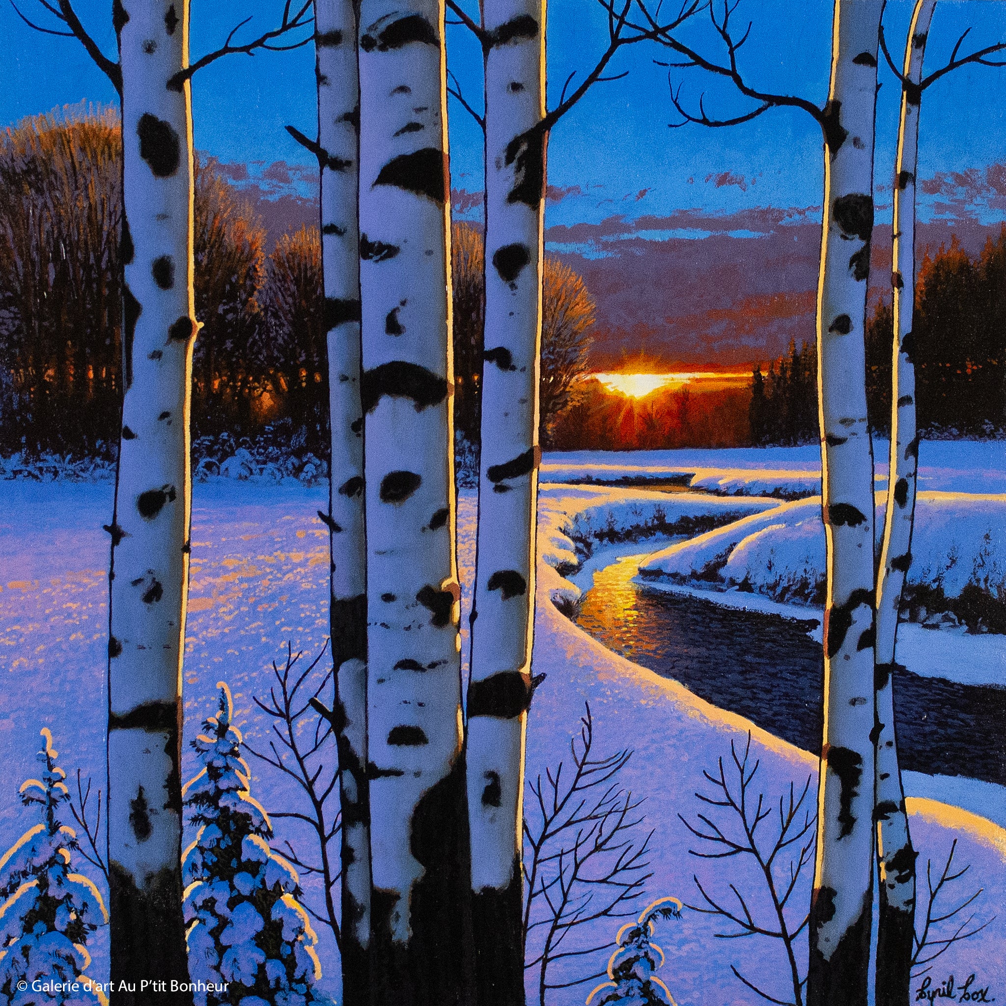 Cyril Cox | Winter’s Golden Light 
