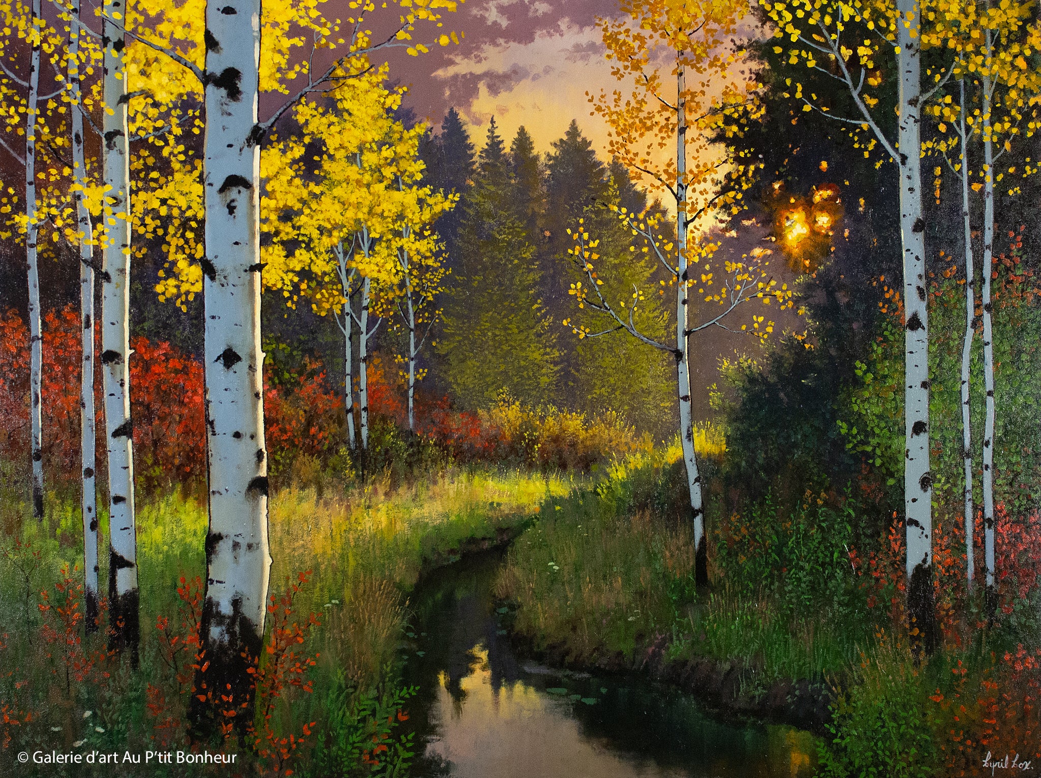 Cyril Cox, artiste peintre | Oeuvres disponibles  | Galerie d'art Au P'tit Bonheur