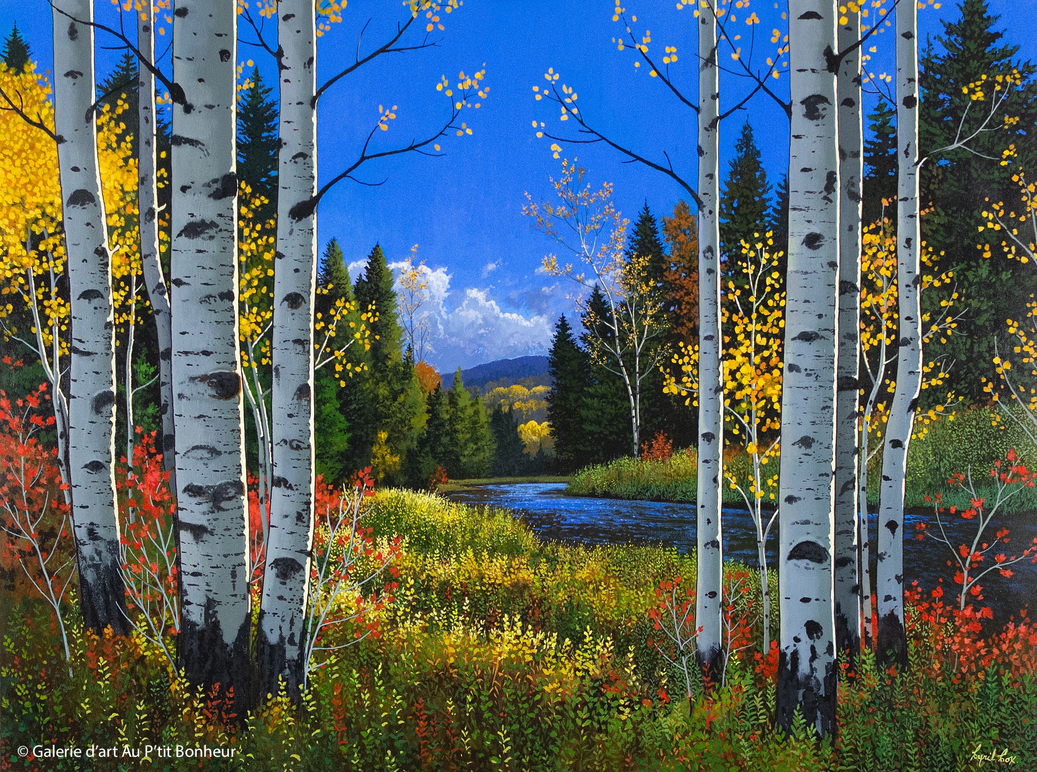 Cyril Cox | Mid Autumn Aspens