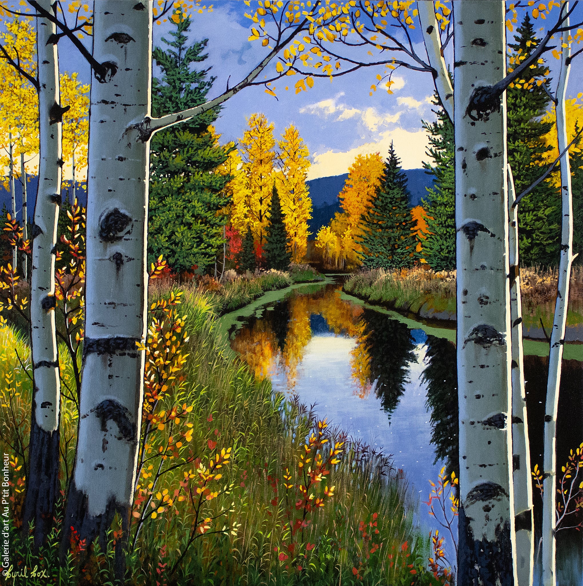 Cyril Cox | Autumn’s reflections