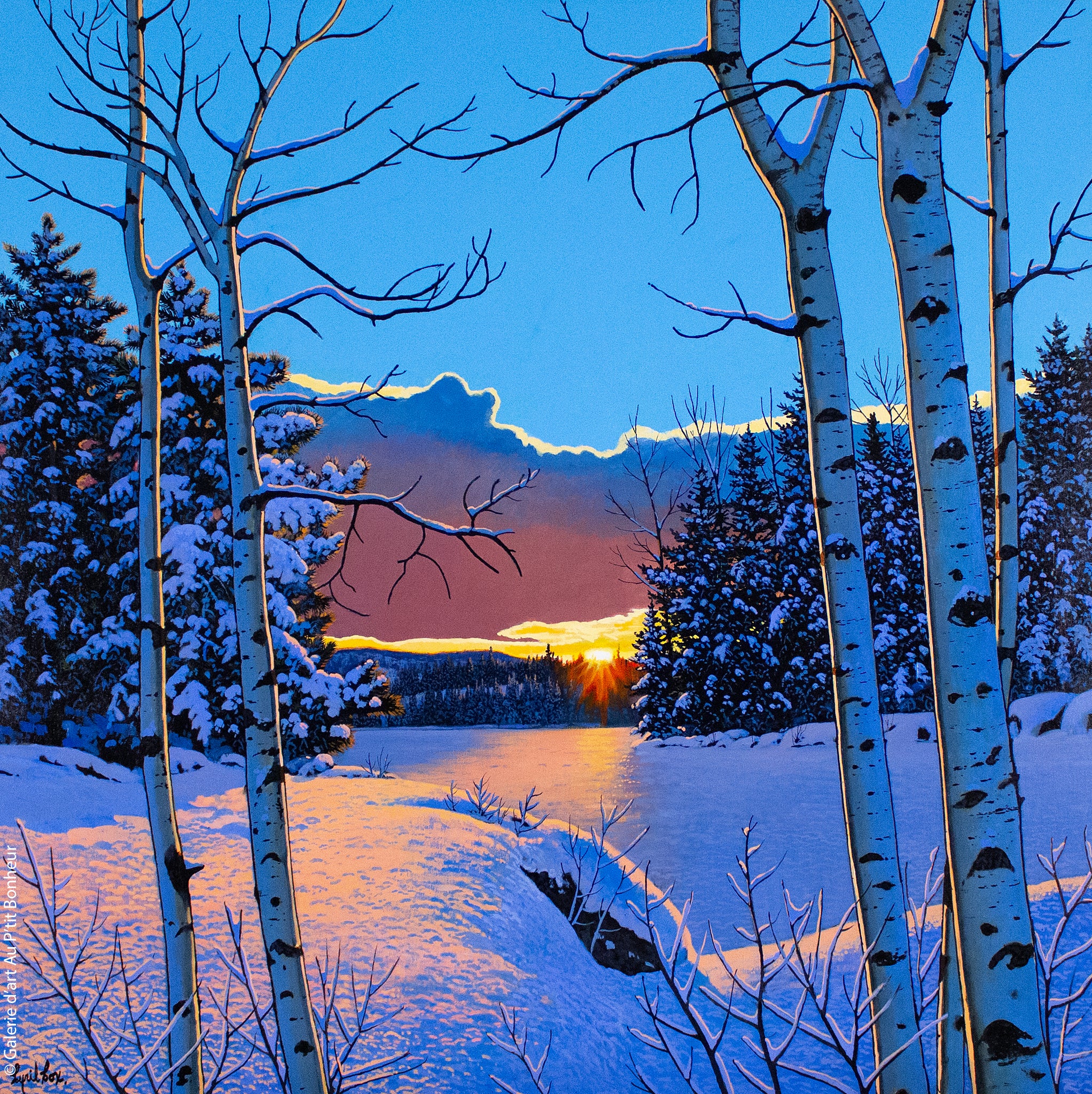 Cyril Cox | Clearing after the storm