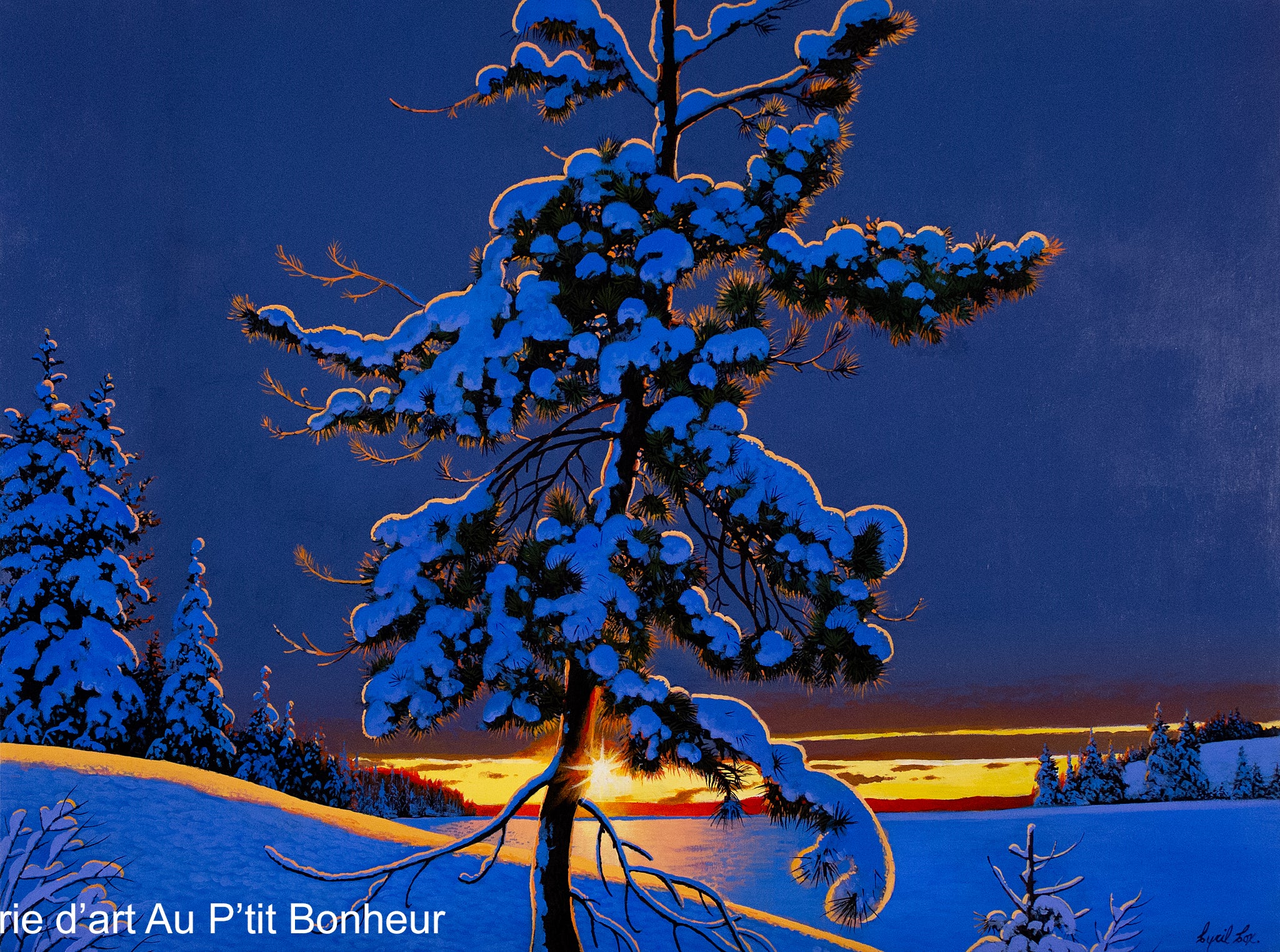 Cyril Cox | Winter Radiance