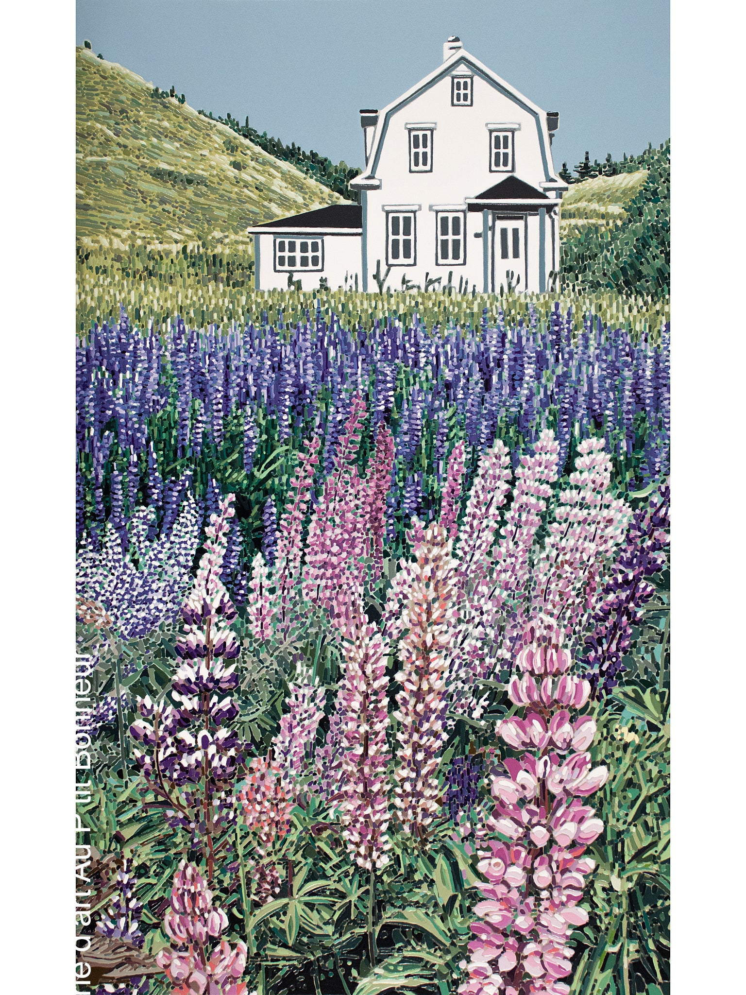 Élyse Turbide | La maison aux lupins 