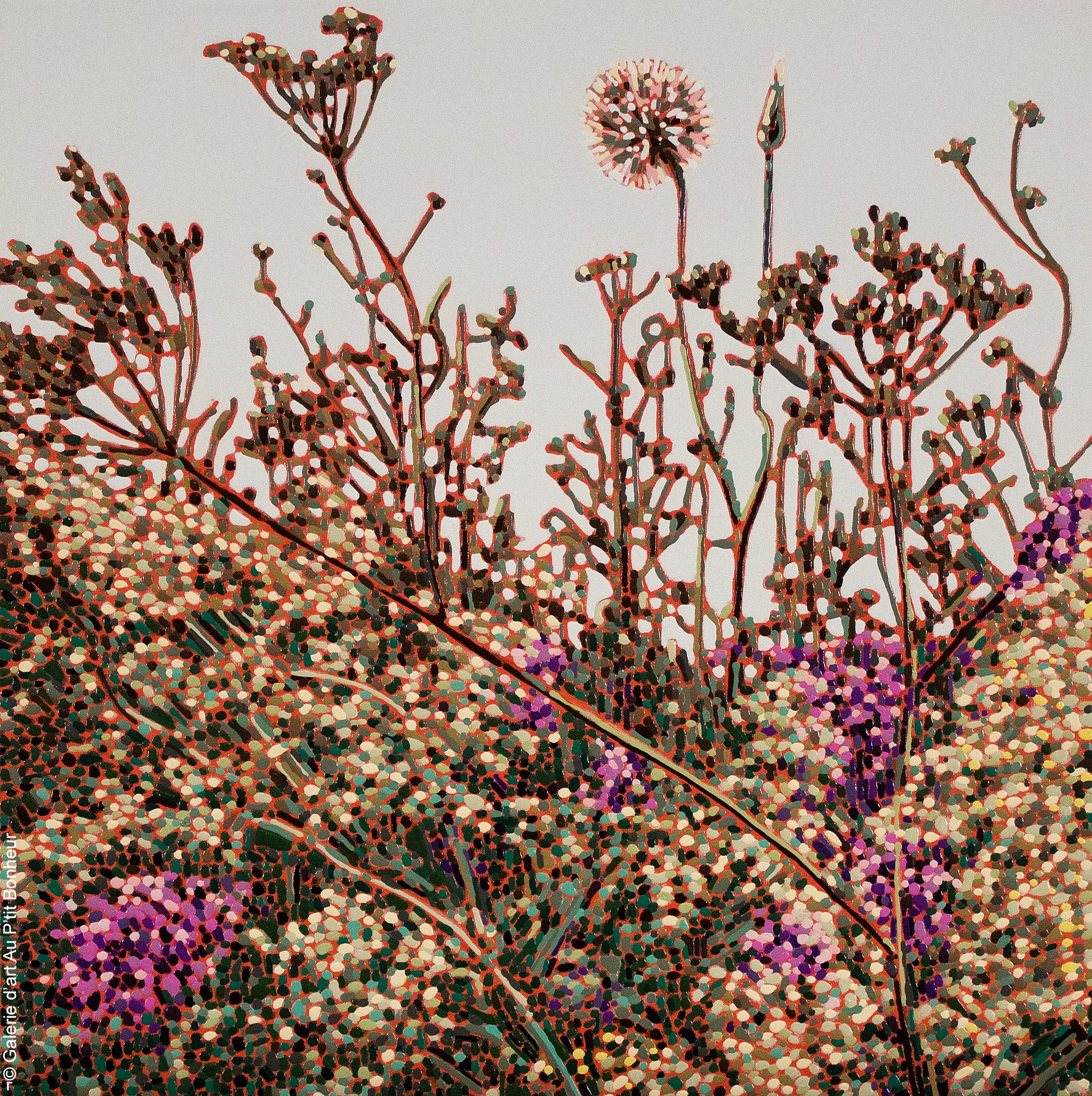 Élyse Turbide | Jardins sauvages LXVII