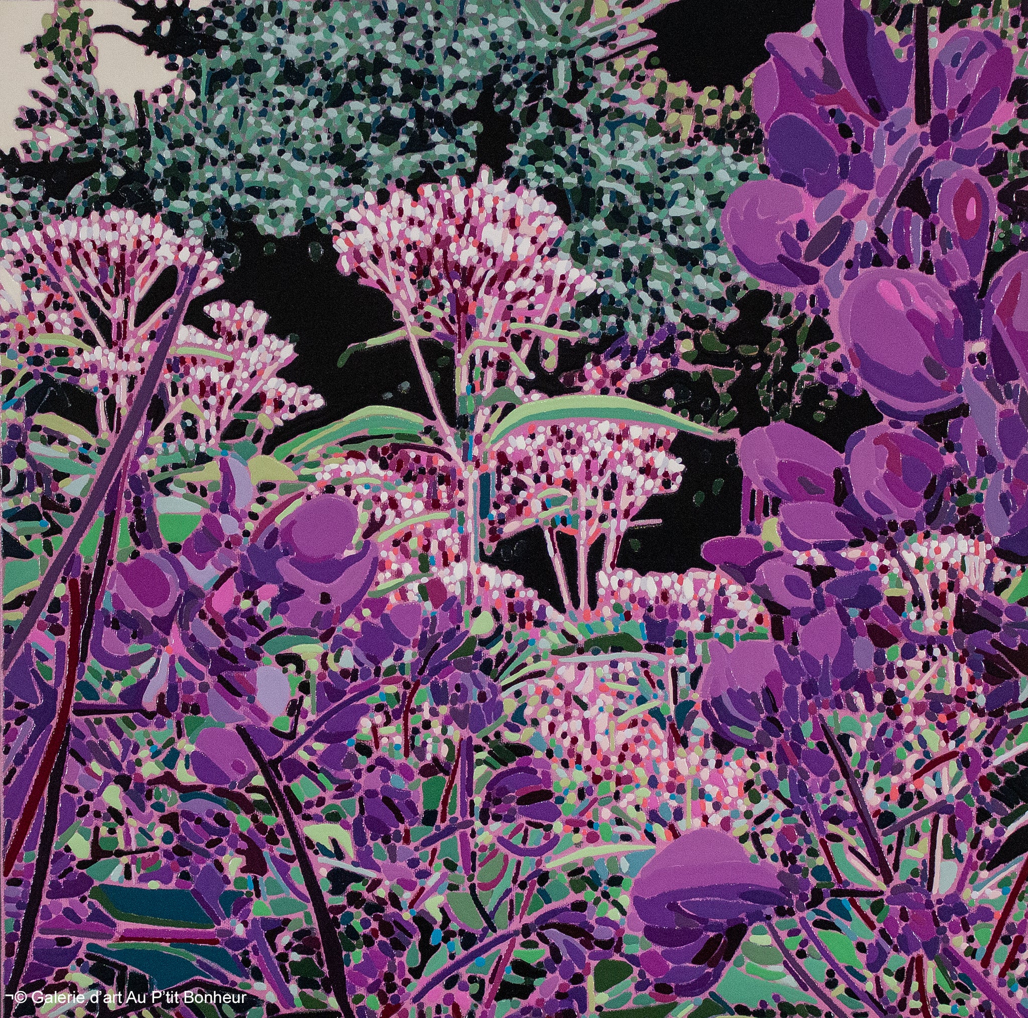 Élyse Turbide | Jardins sauvages LXVIII