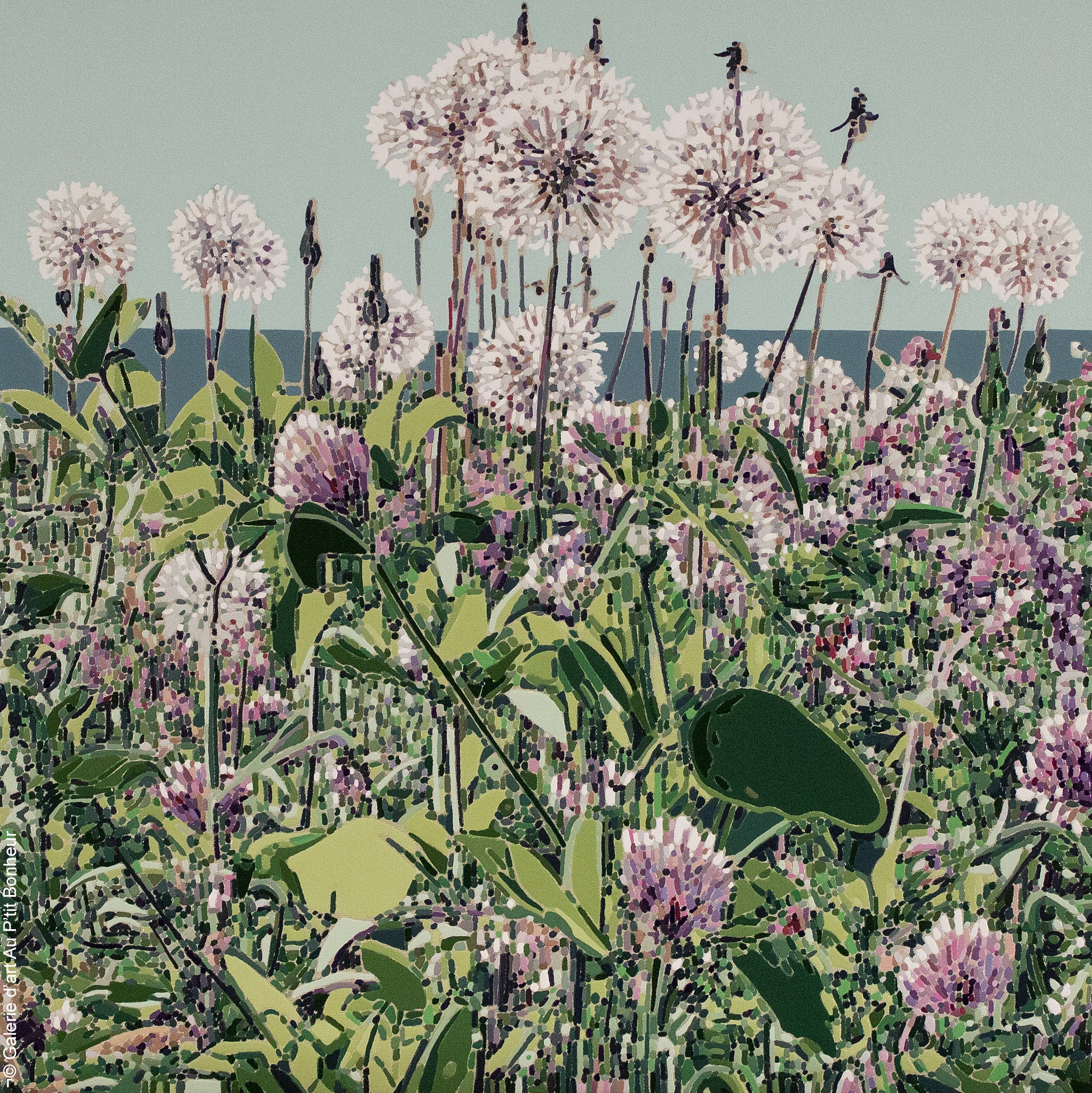 Elyse Turbide | Jardins sauvages C