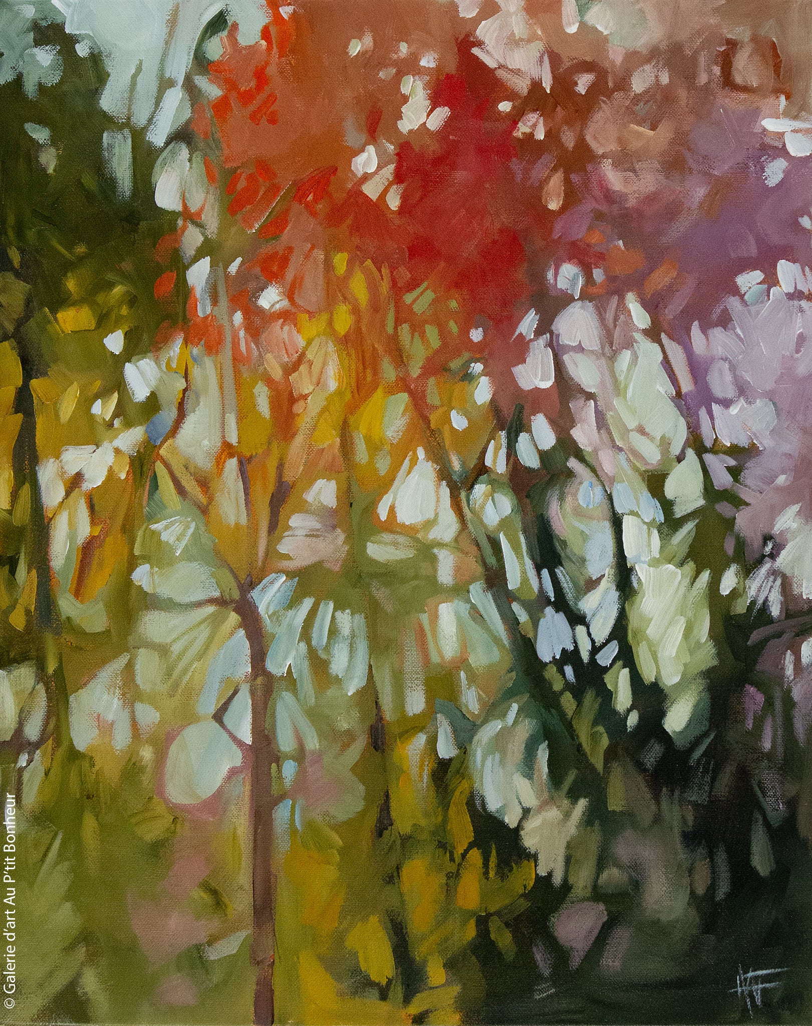 Holly Ann Friesen | A Bright Future