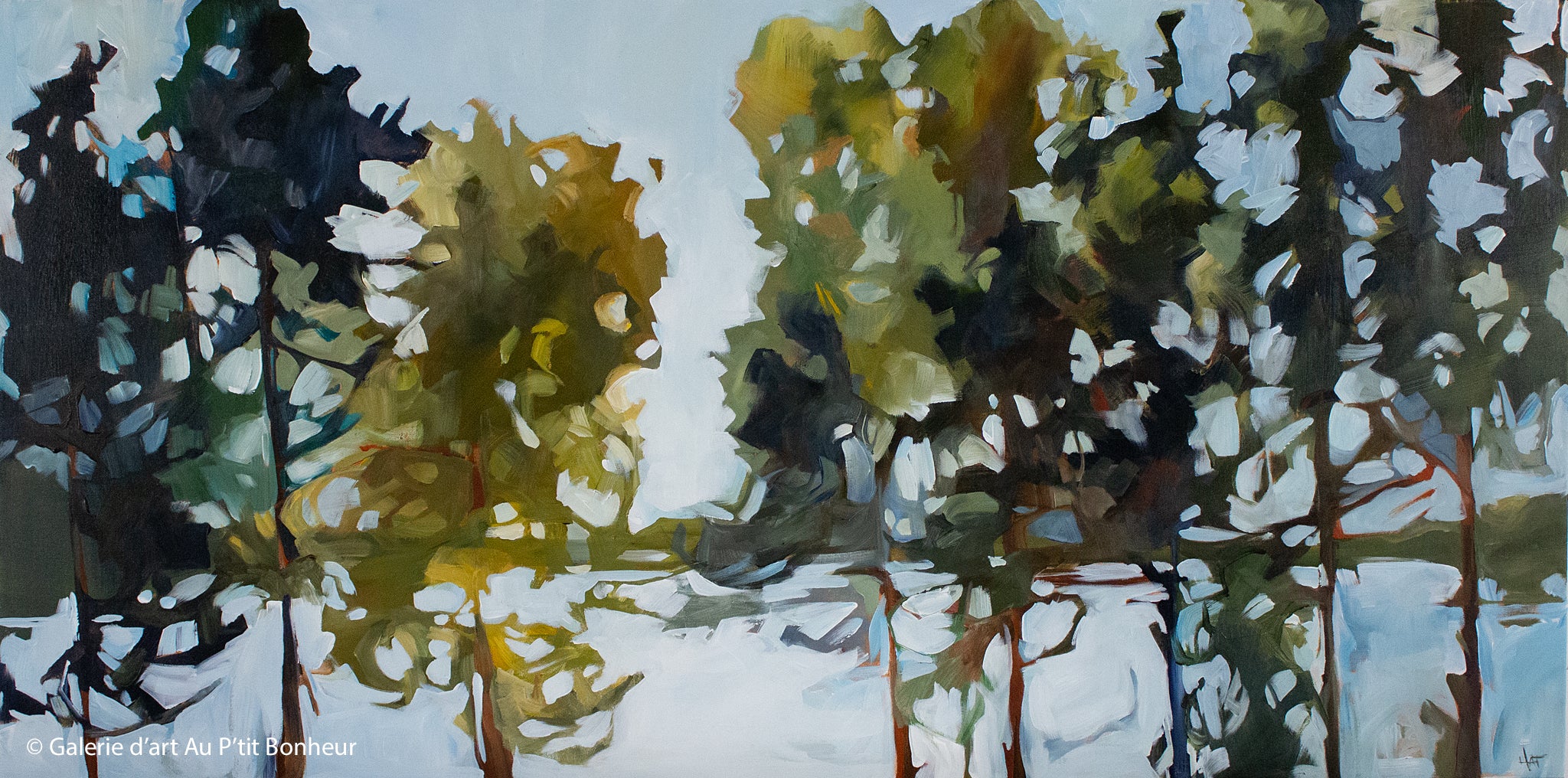 Holly Ann Friesen | Softening The View