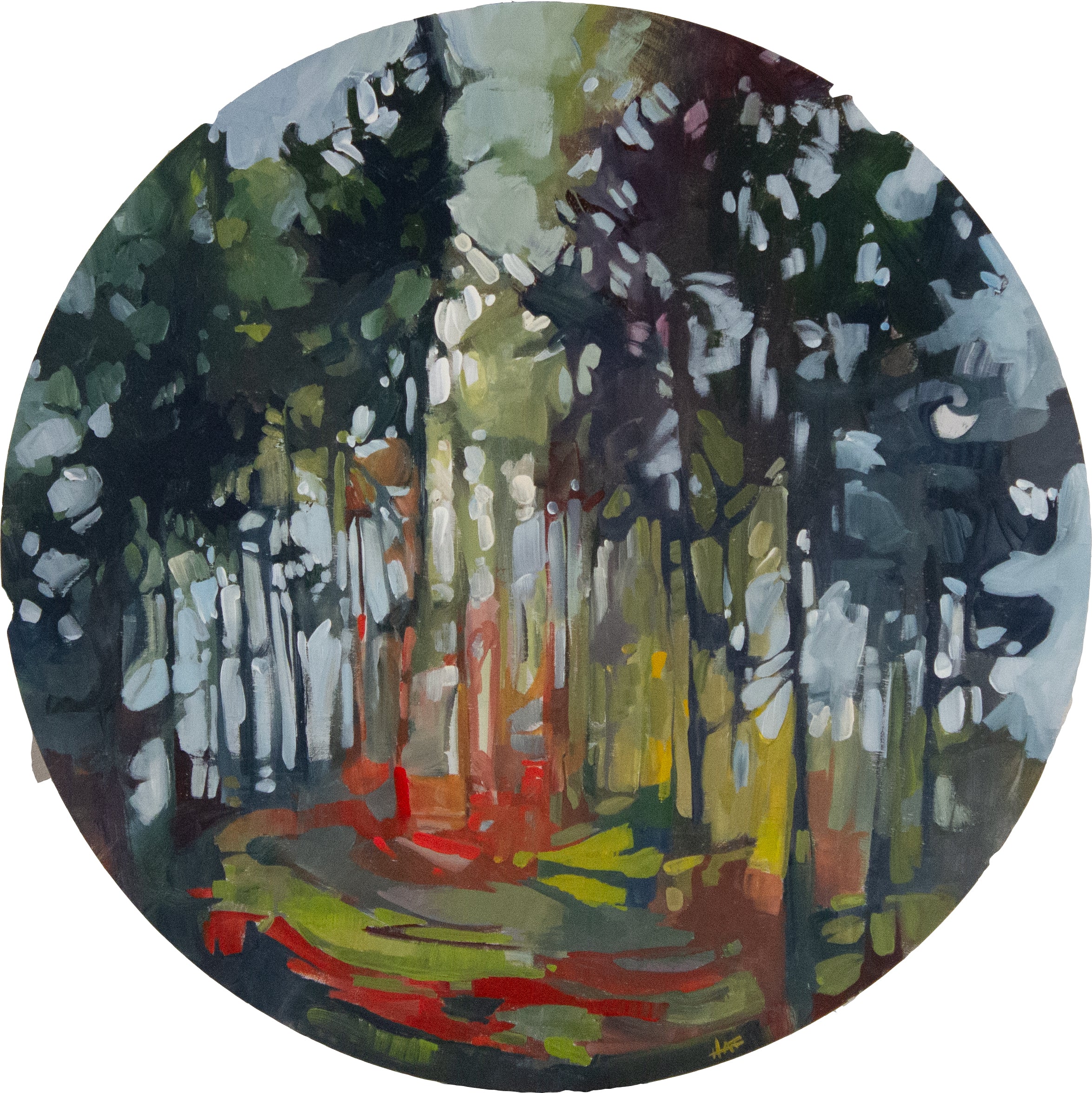 Holly Ann Friesen | Forest Focus