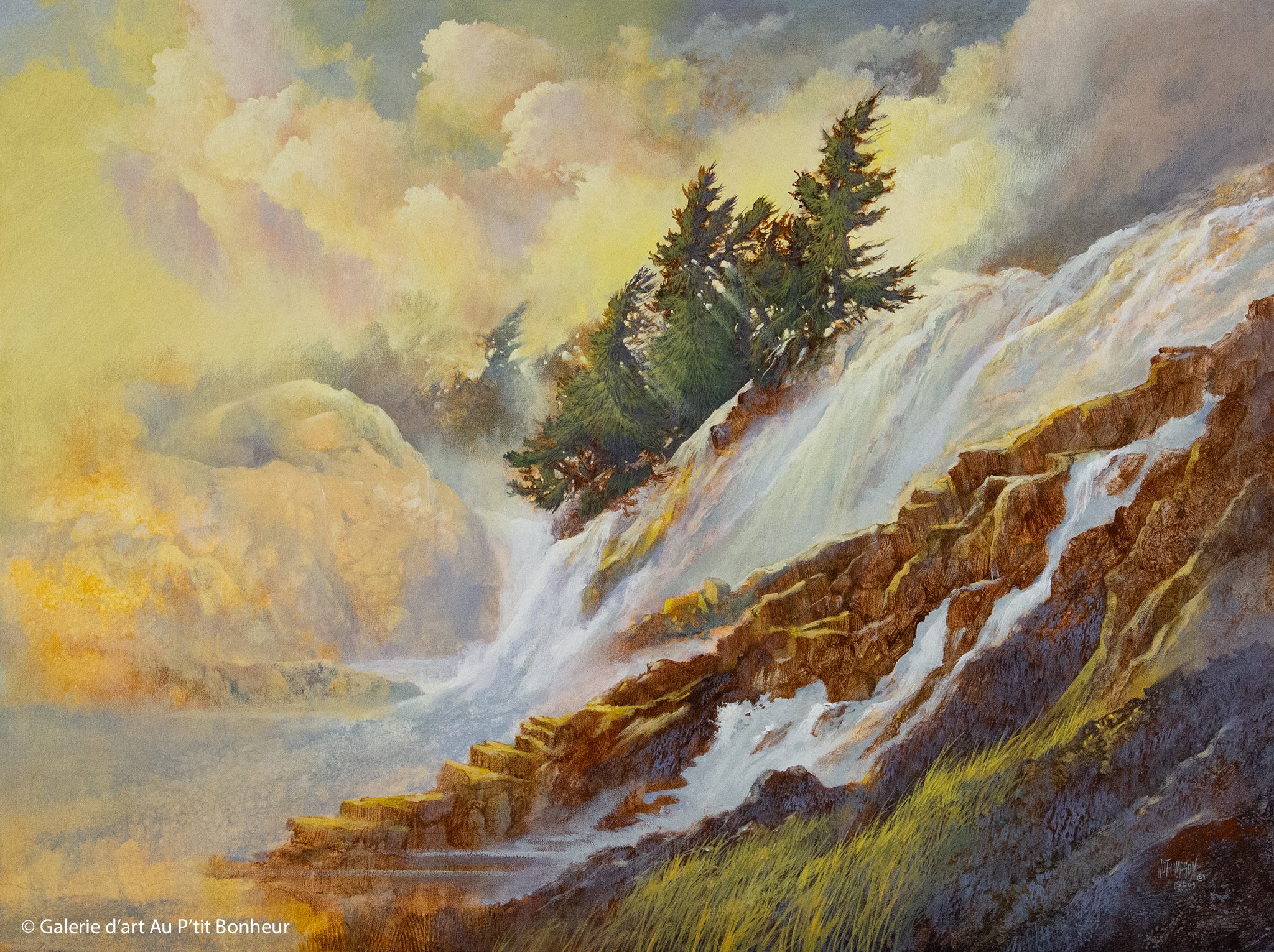 J. Douglas Thompson | Runoff and Light