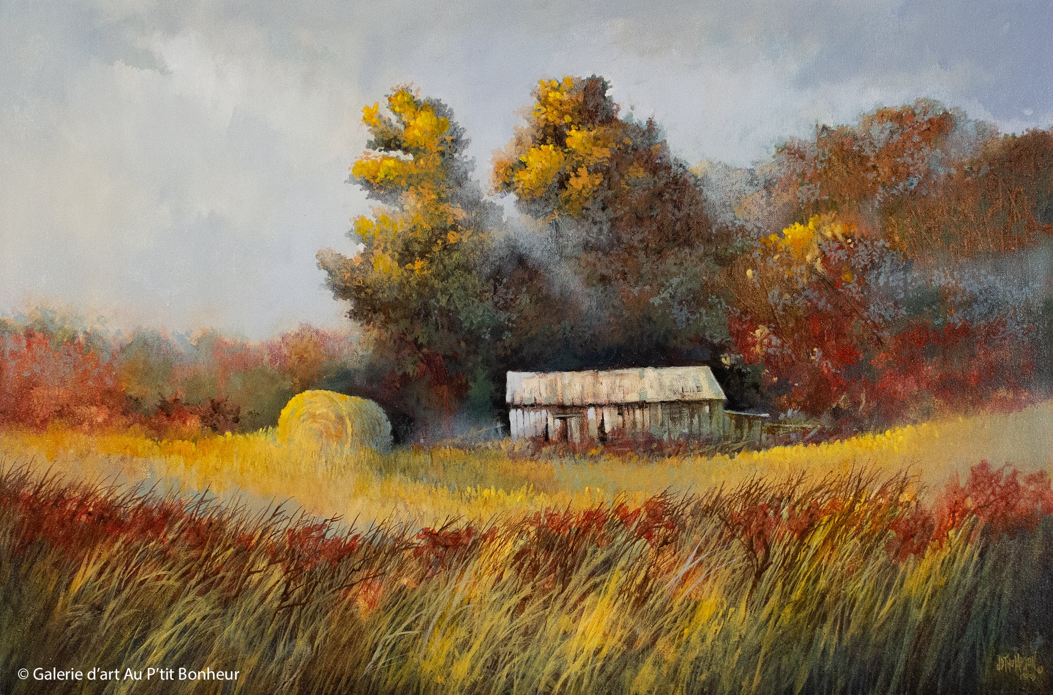 J. Douglas Thompson, artiste peintre | Oeuvres disponibles  | Galerie d'art Au P'tit Bonheur