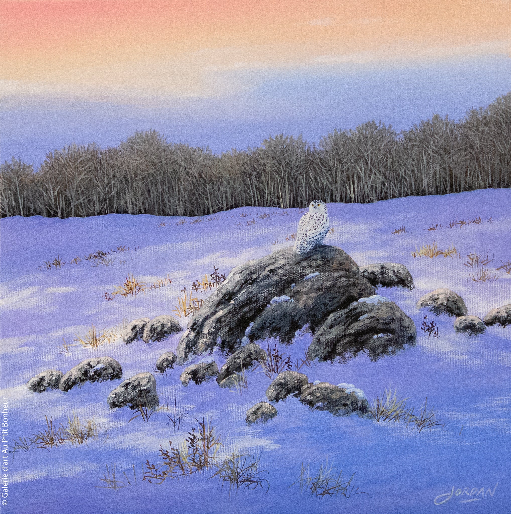 Jordan Hicks | Snowy