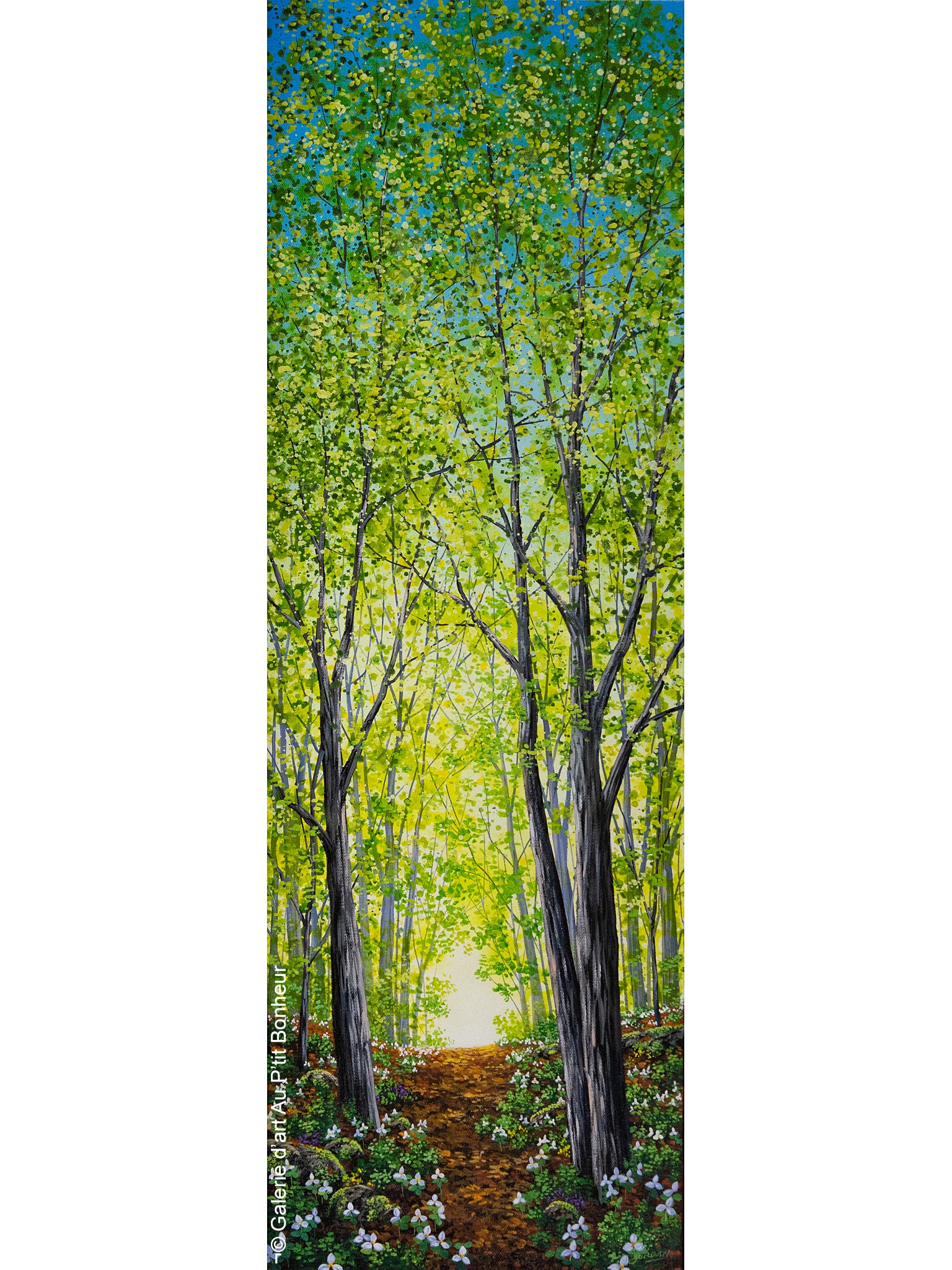 Jordan Hicks | Woods In Bloom