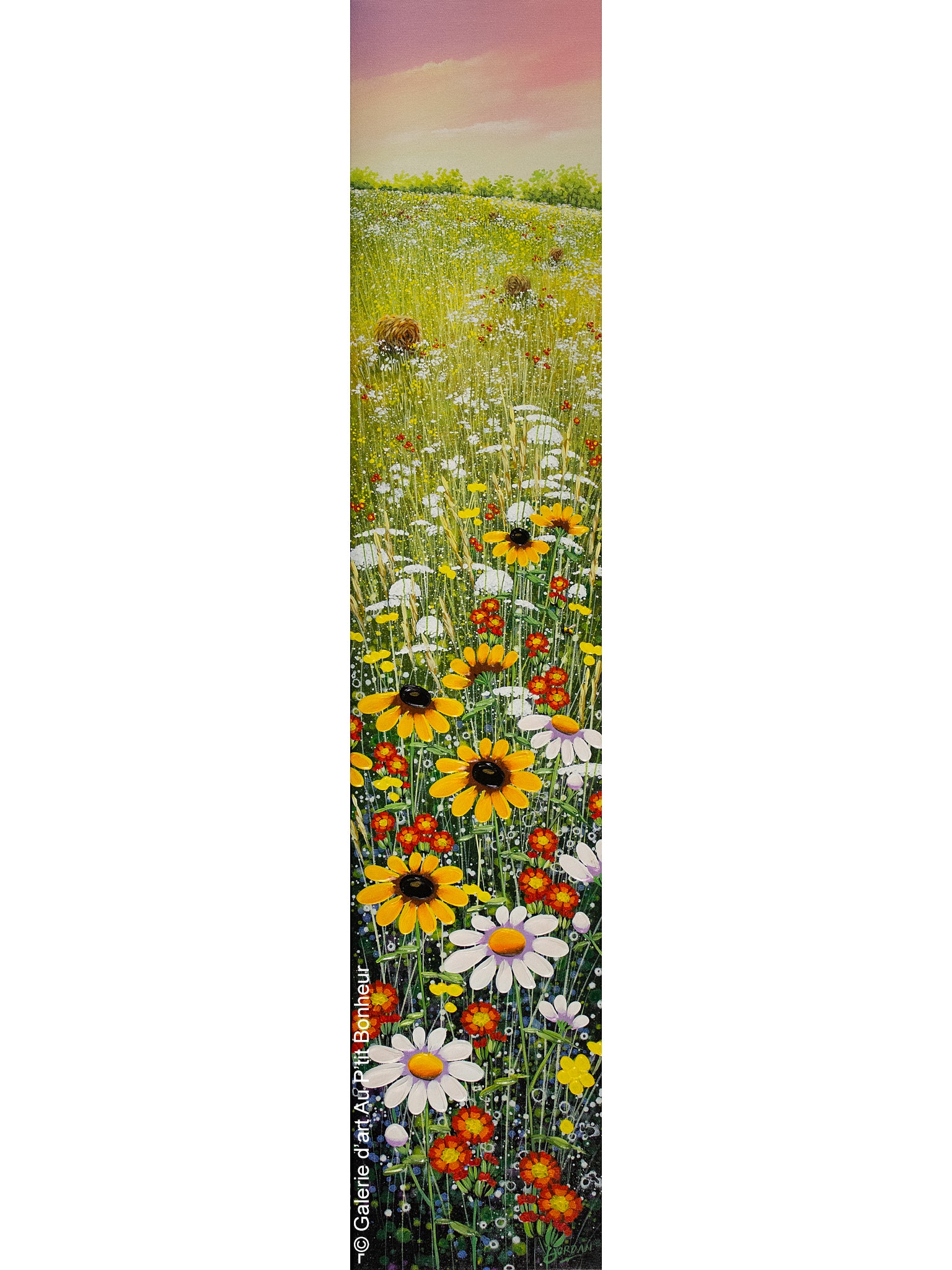 Jordan Hicks | Little Bee & Hawkweed