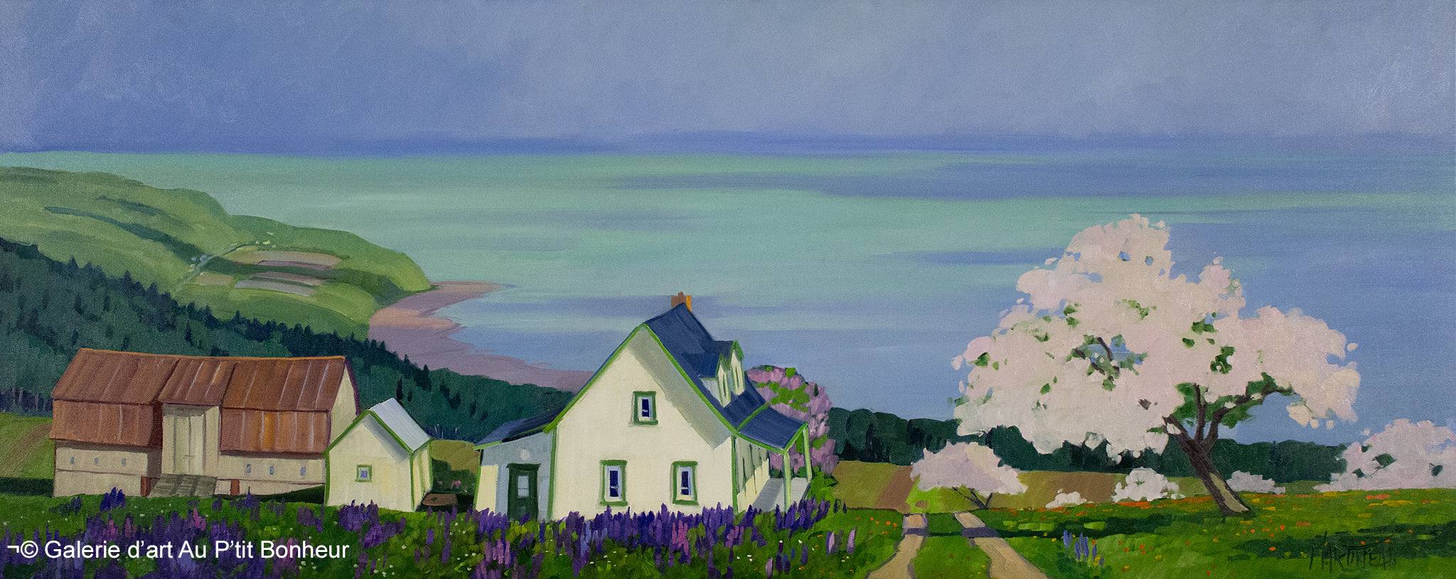 Louise Martineau | Lupins sauvages