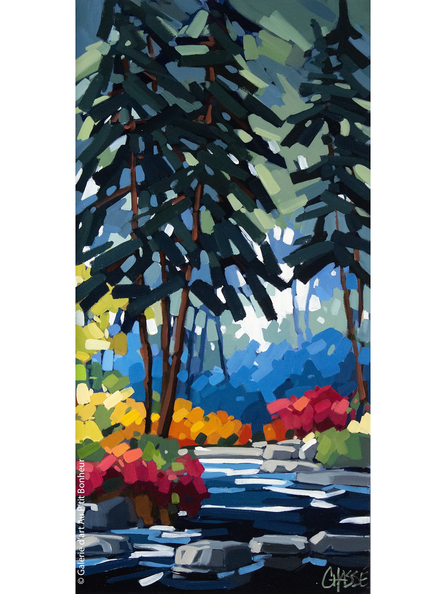 Martine Chassé | Là où je prends racine 5