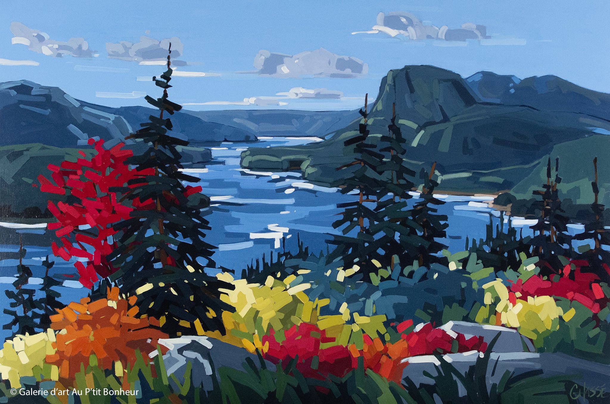 Martine Chassé | Matin calme à Woody Point, Terre-Neuve