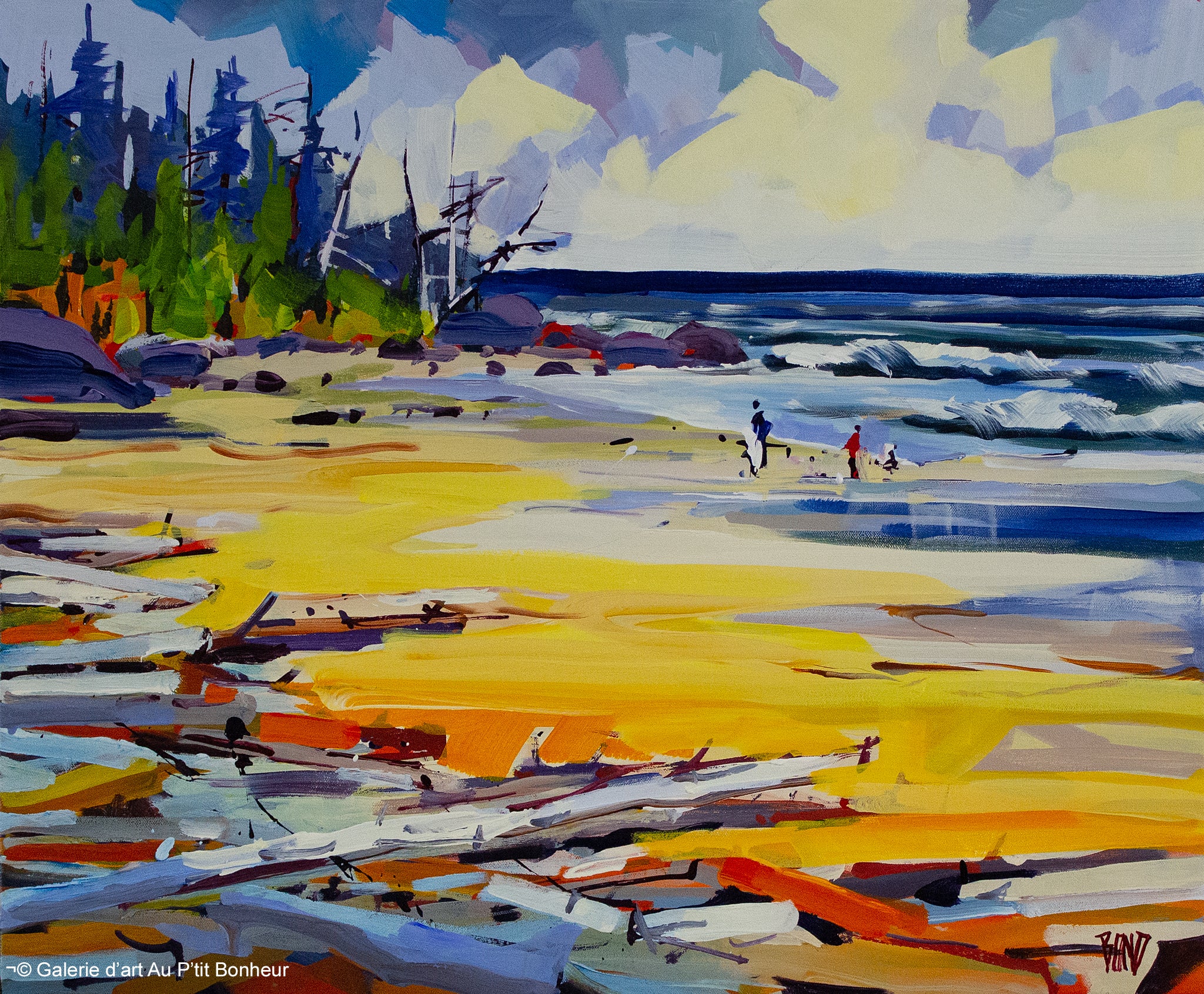 Rick Bond | Salish Sea Sandbars