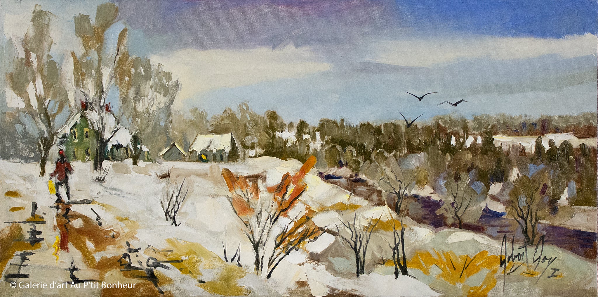 Robert Roy | Conscience du regard