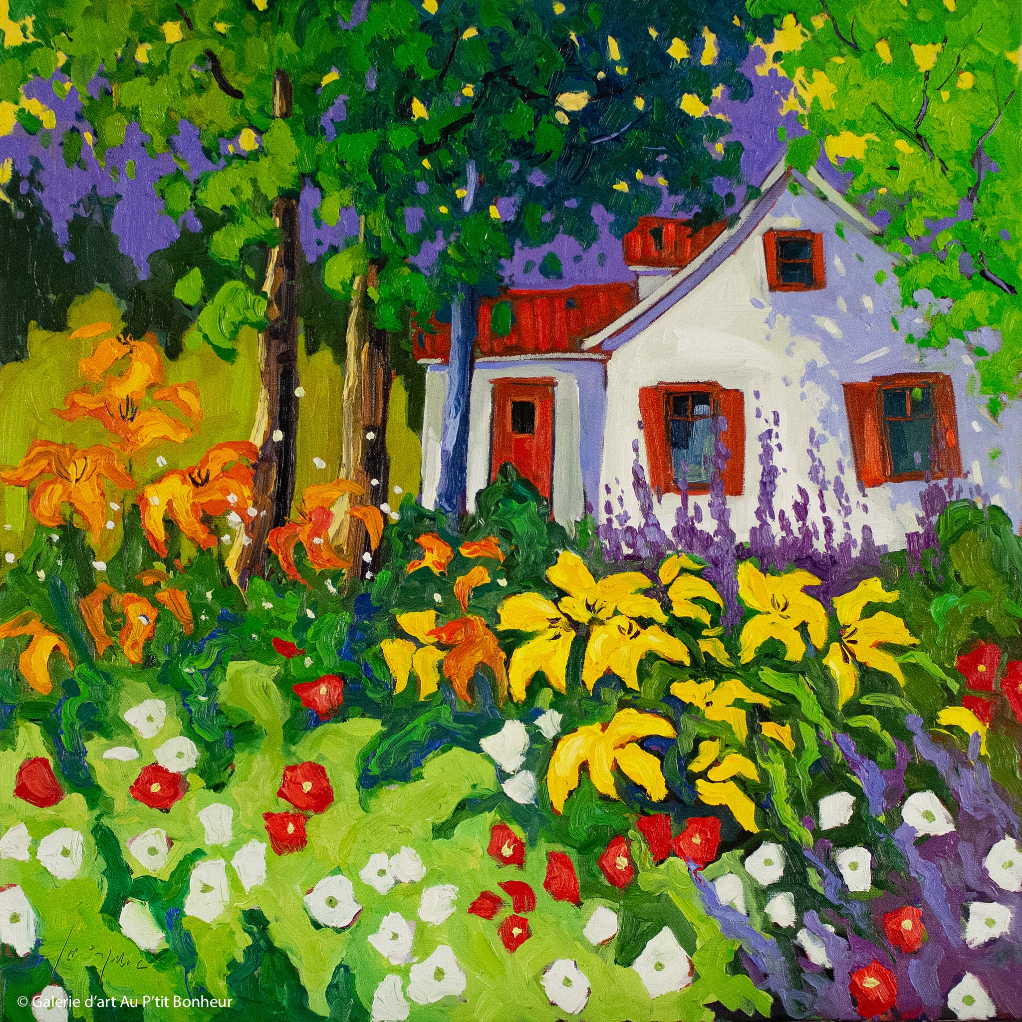 Robert Savignac | Havre de paix