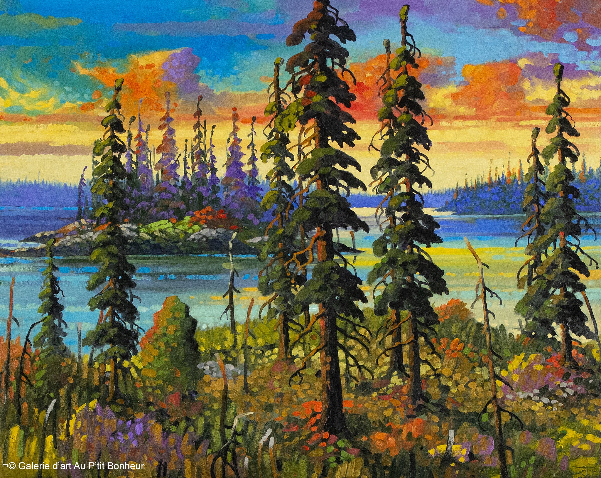 Rod Charlesworth | Islets in the Northern Sky