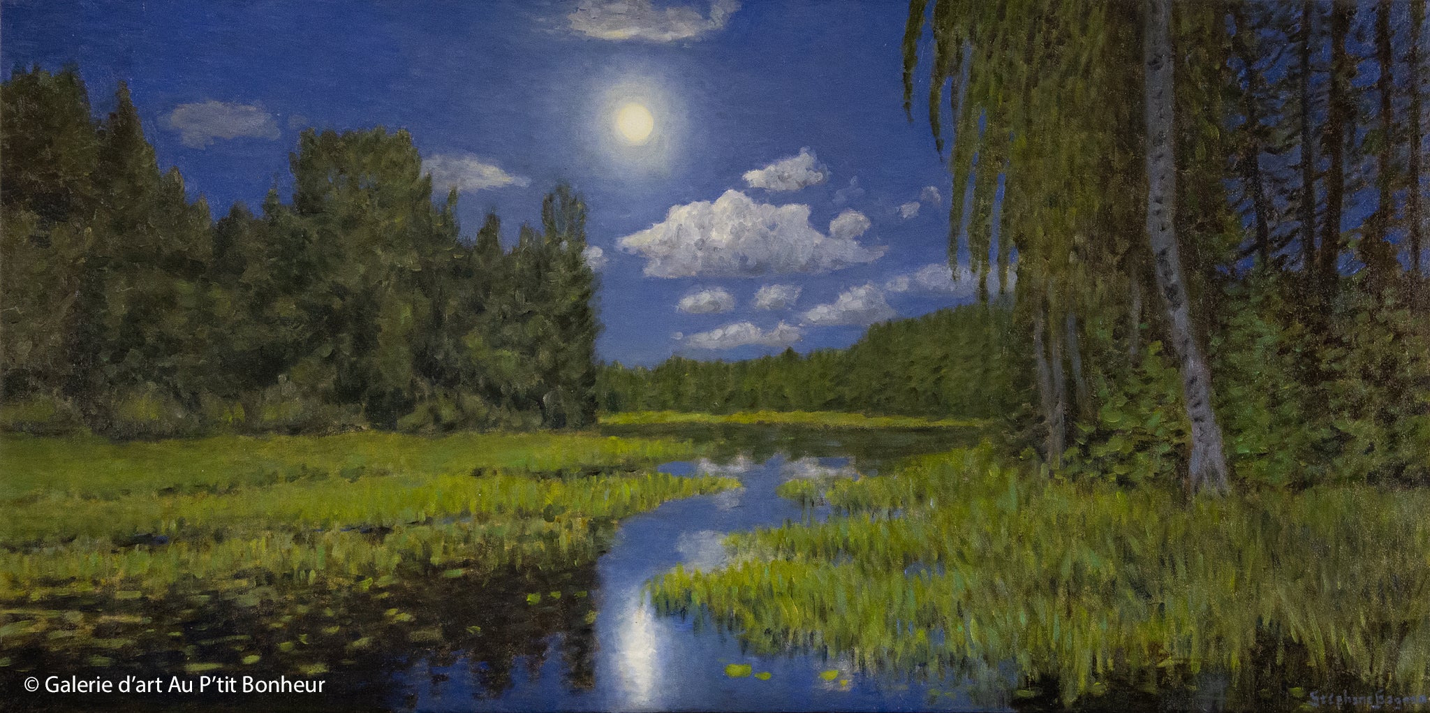 Stéphane Gagnon | Pleine lune sur les marais