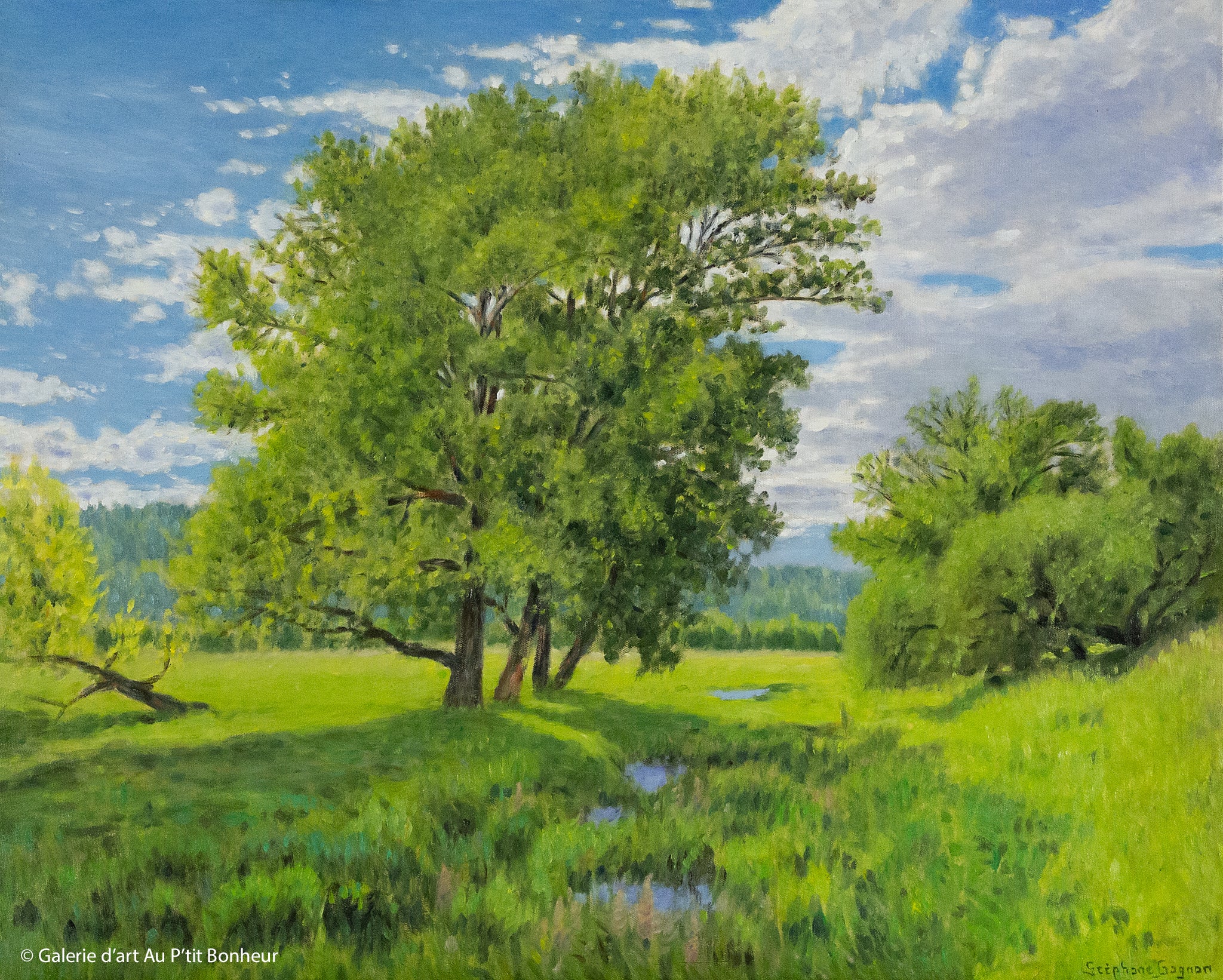 Stéphane Gagnon | Souvenir d’été