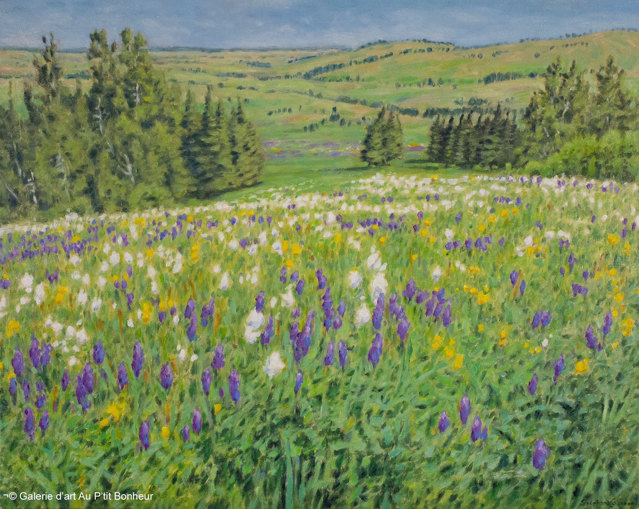 Stéphane Gagnon, artiste peintre | Oeuvres disponibles  | Galerie d'art Au P'tit Bonheur